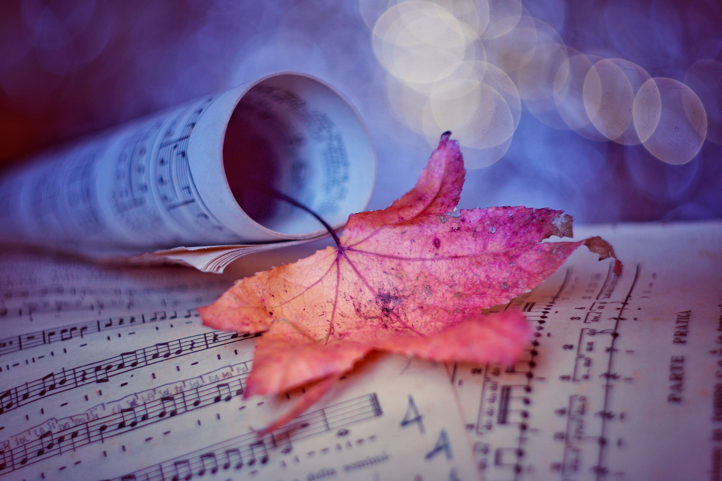 Musica d'autunno...