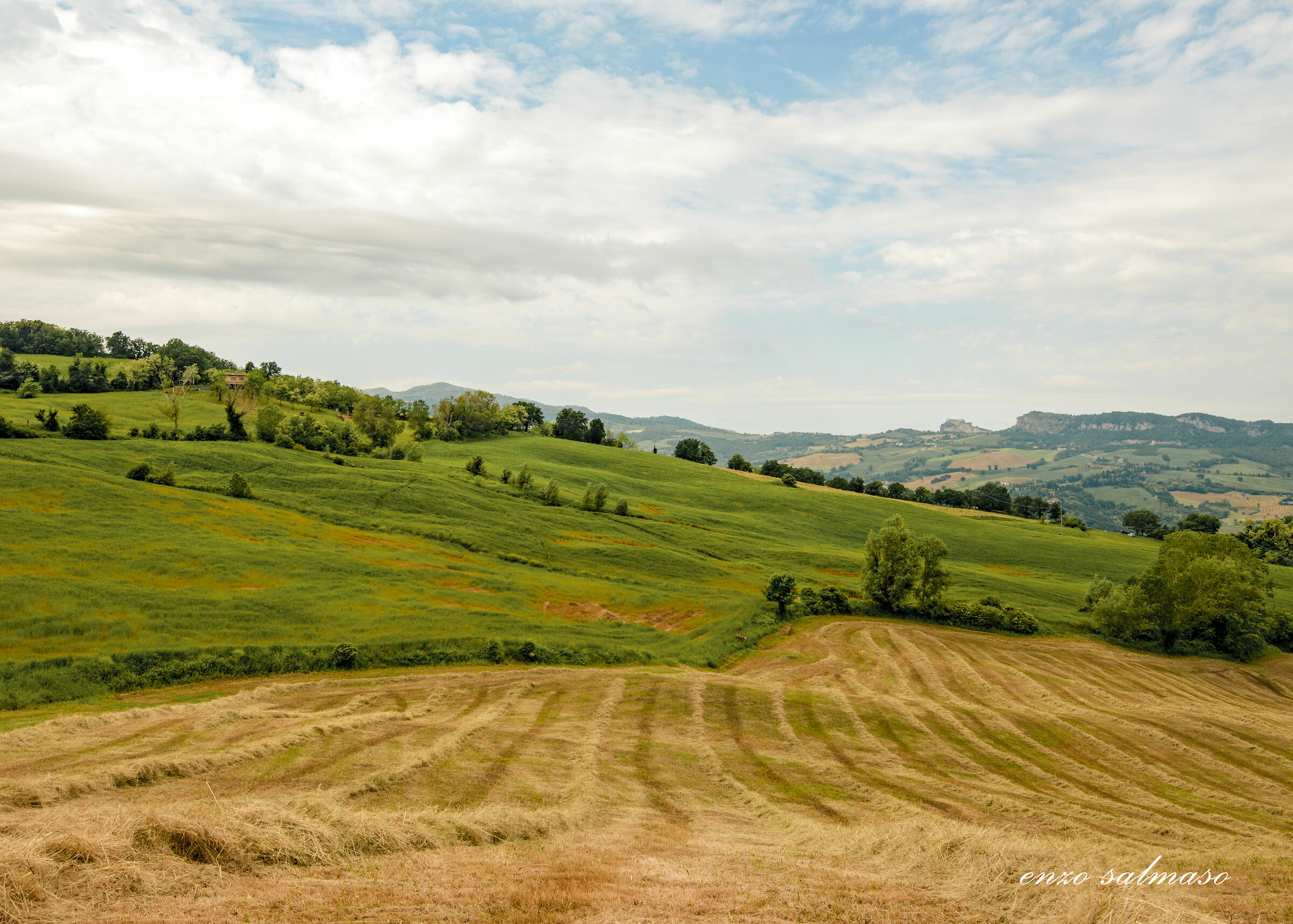 Romagna Hills...