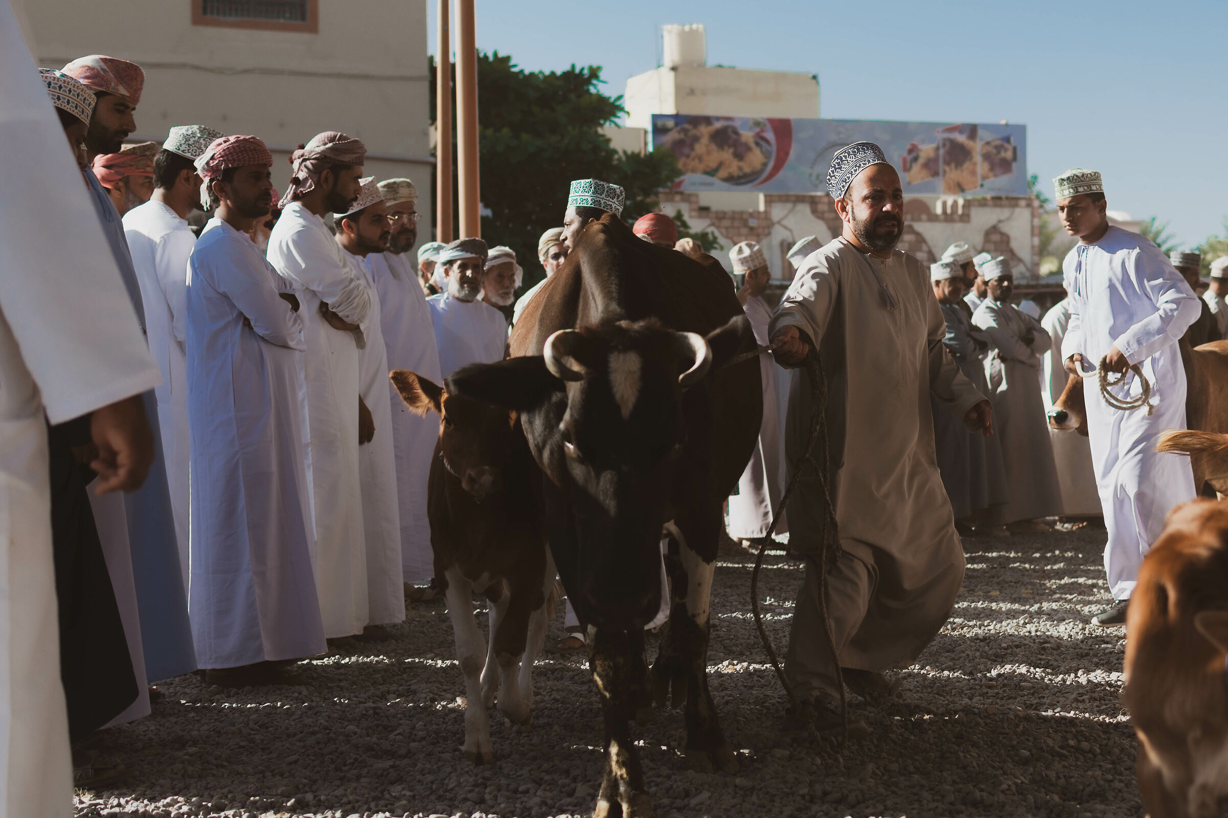 Il mercato del bestiame - Nizwa...