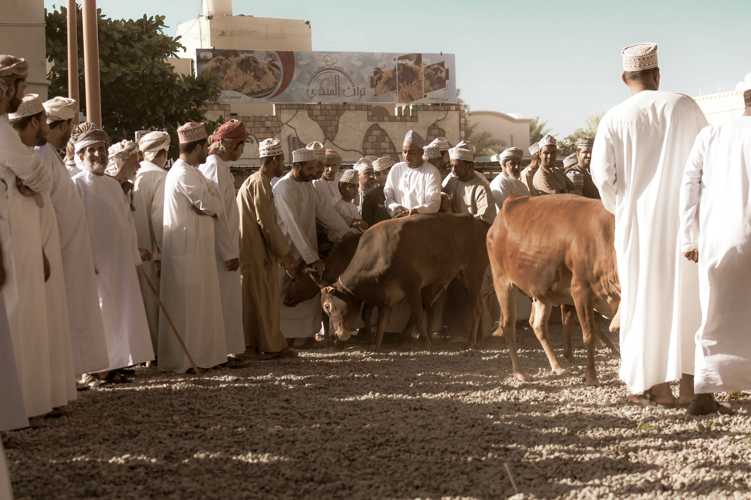 Cattle Market - Nitzwa Souq...