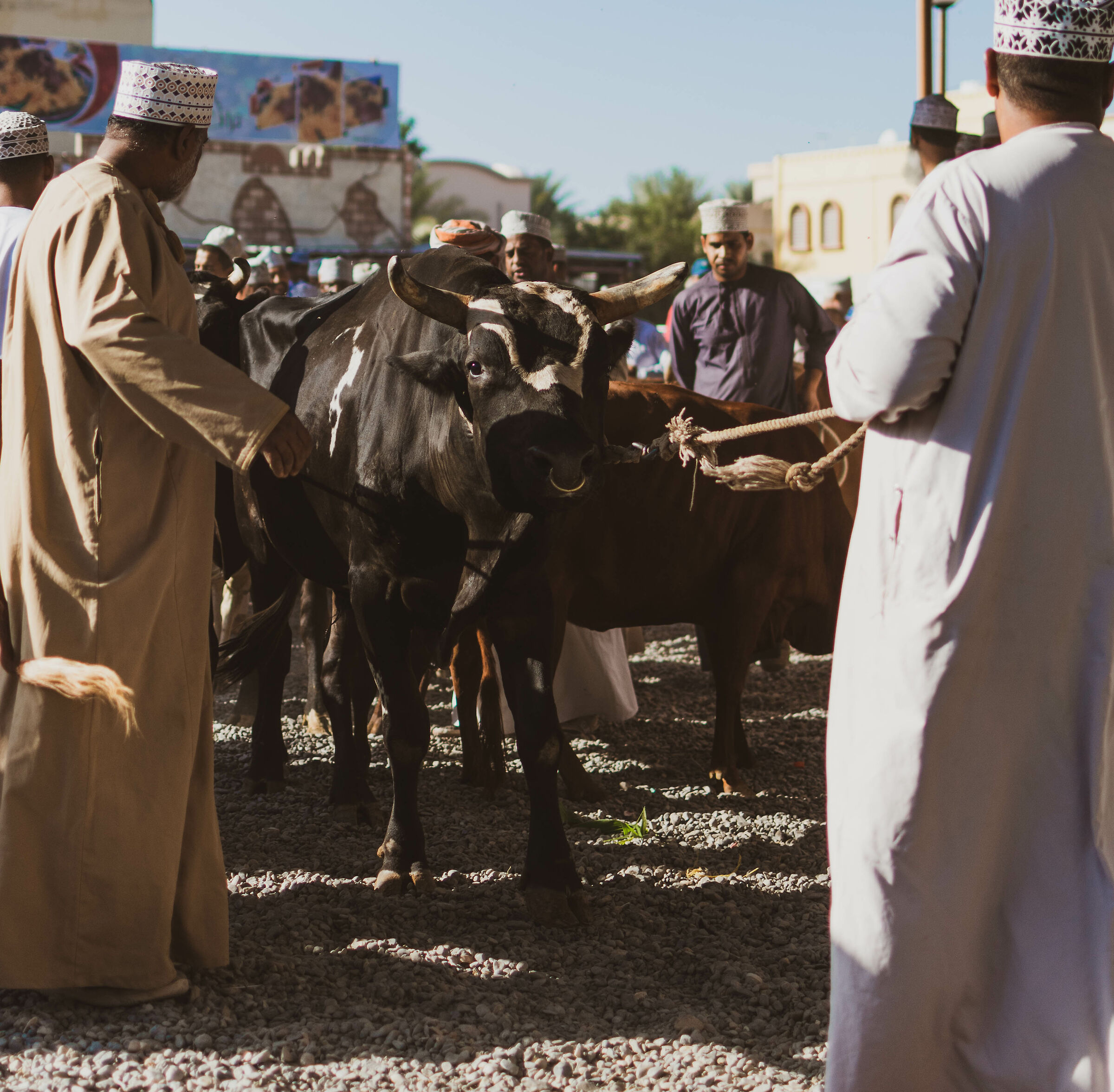 Mercato del bestiame - Nitzwa Souq...