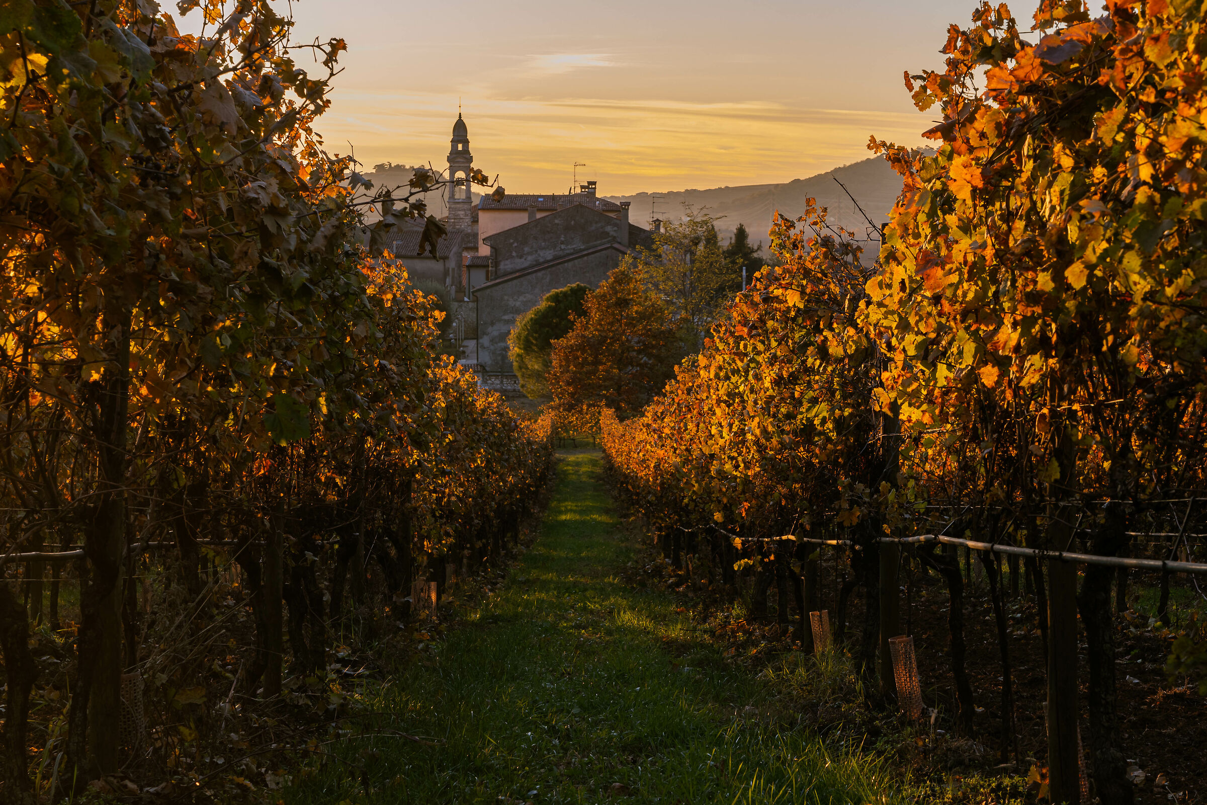 Soave among its vineyards ...