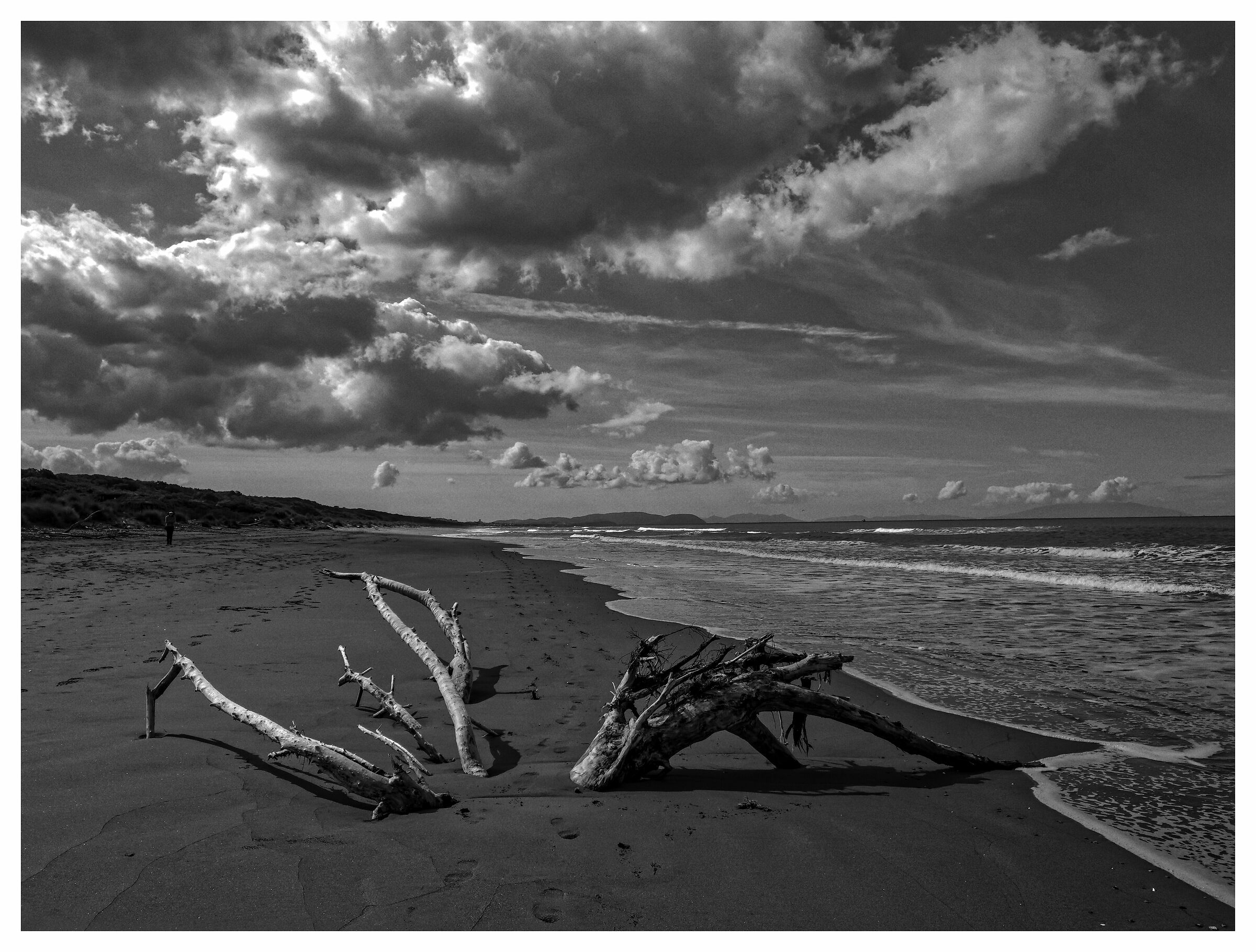 Timber beached Marina Castagneto C....