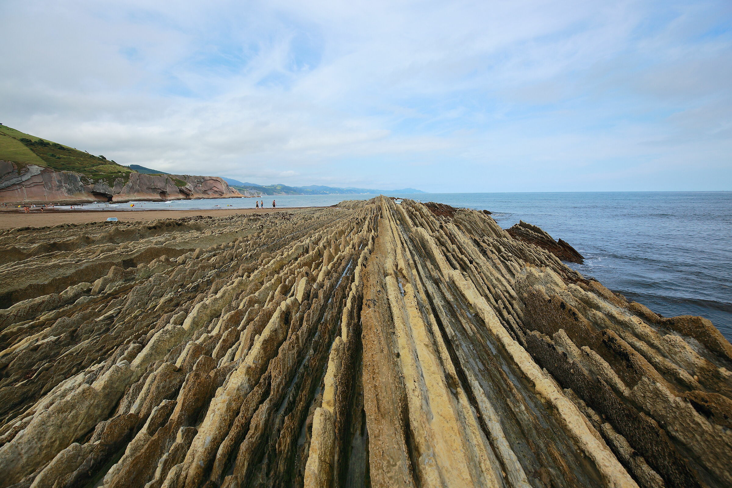 The Flysch ...