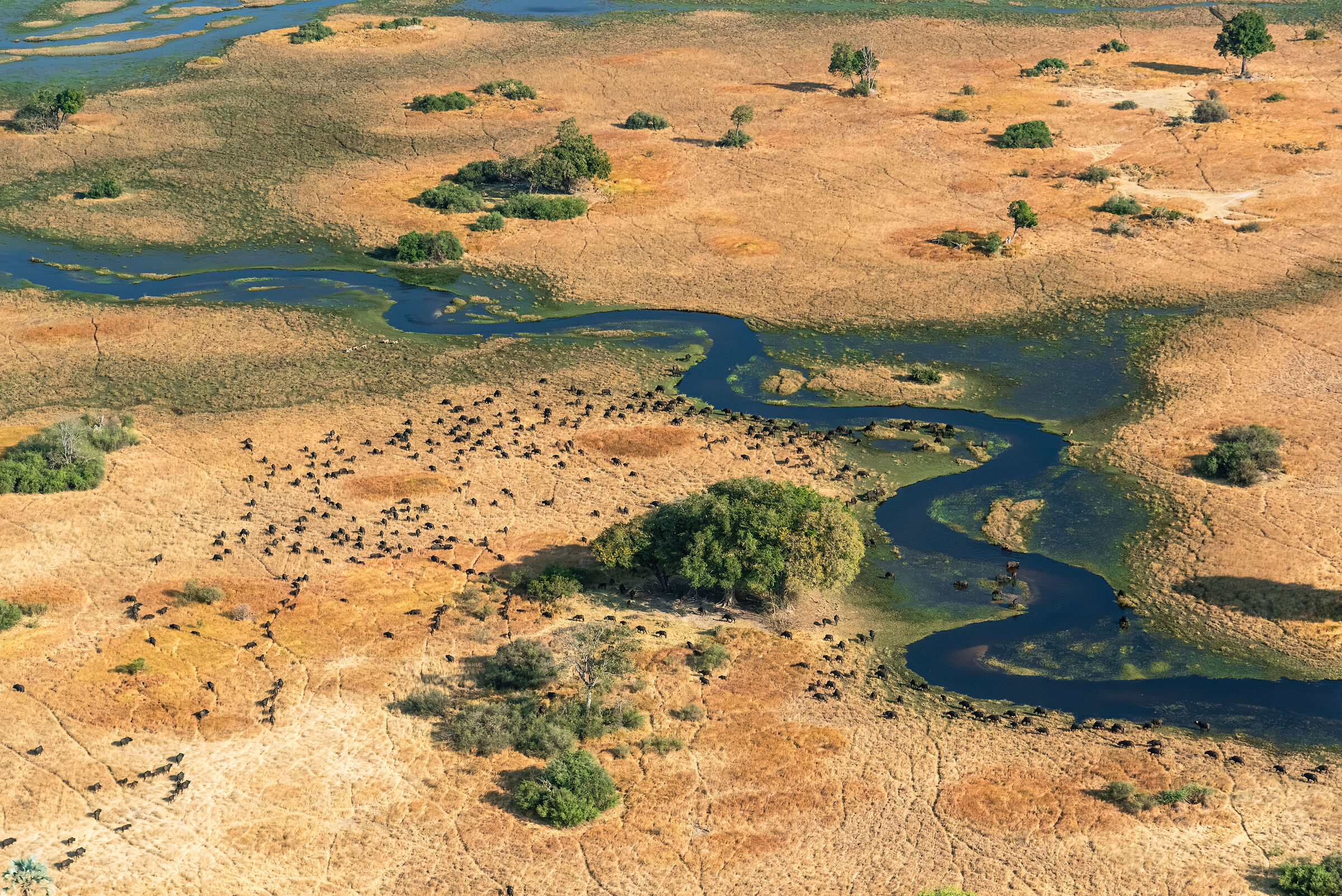 Okavango Delta...