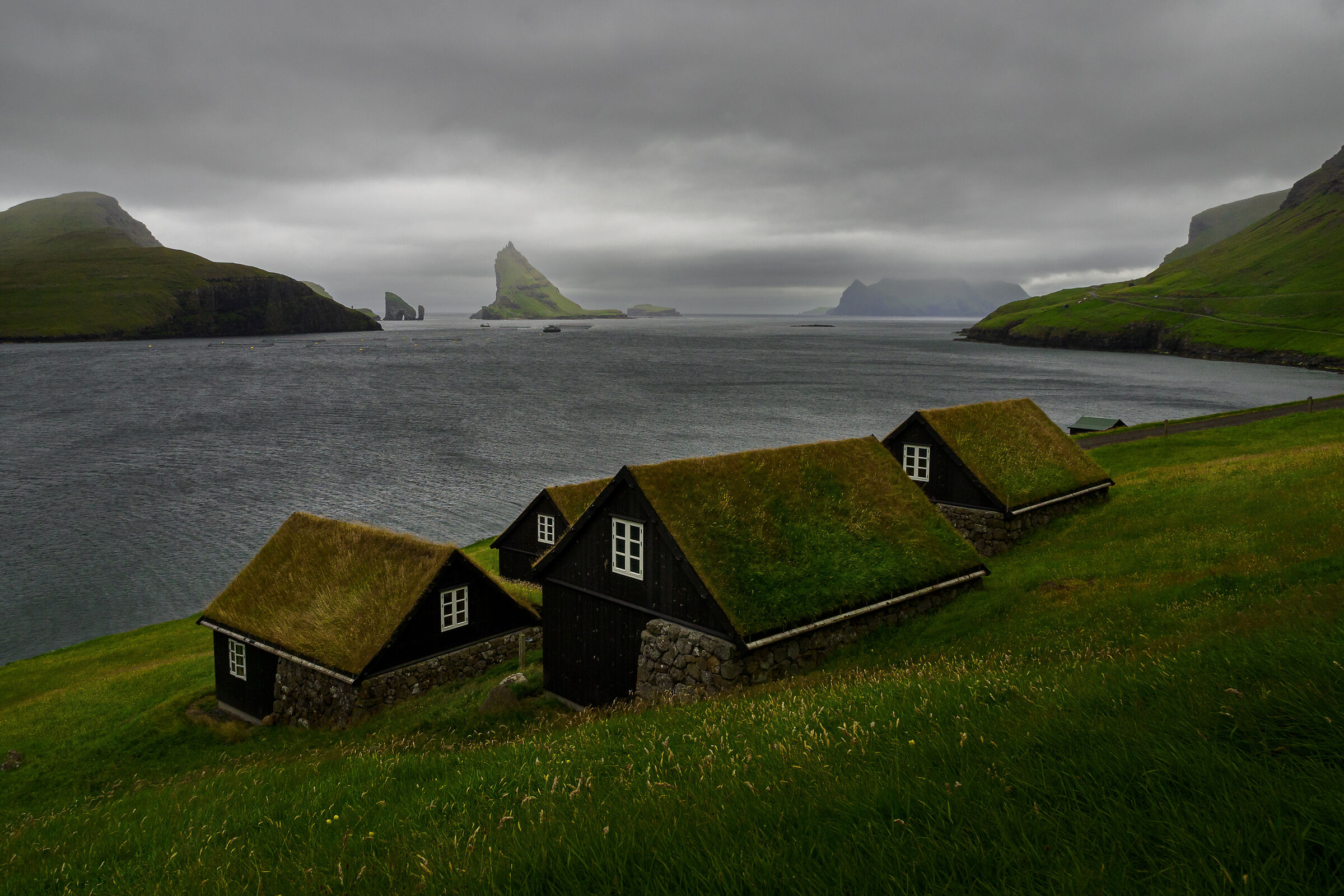 Bour - Faroe...