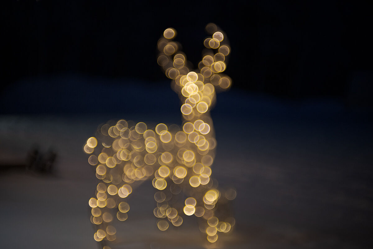 The reindeer lights...