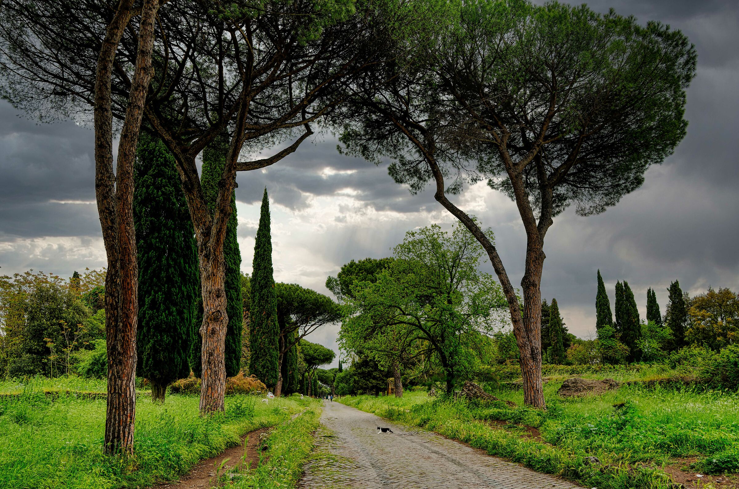 Ancient Appian Way Rome May 2023...