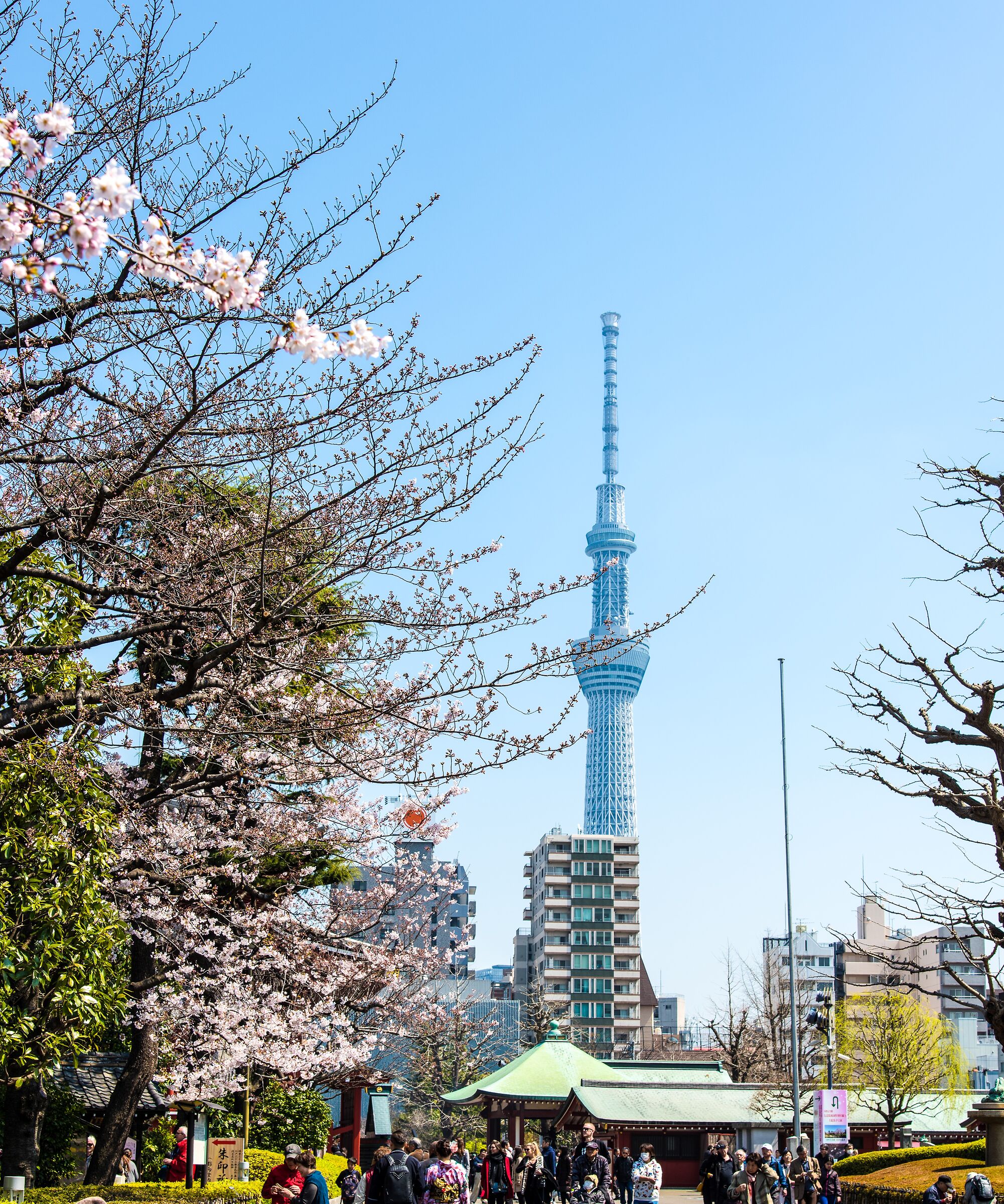 Tokyo Tower SkyTree...