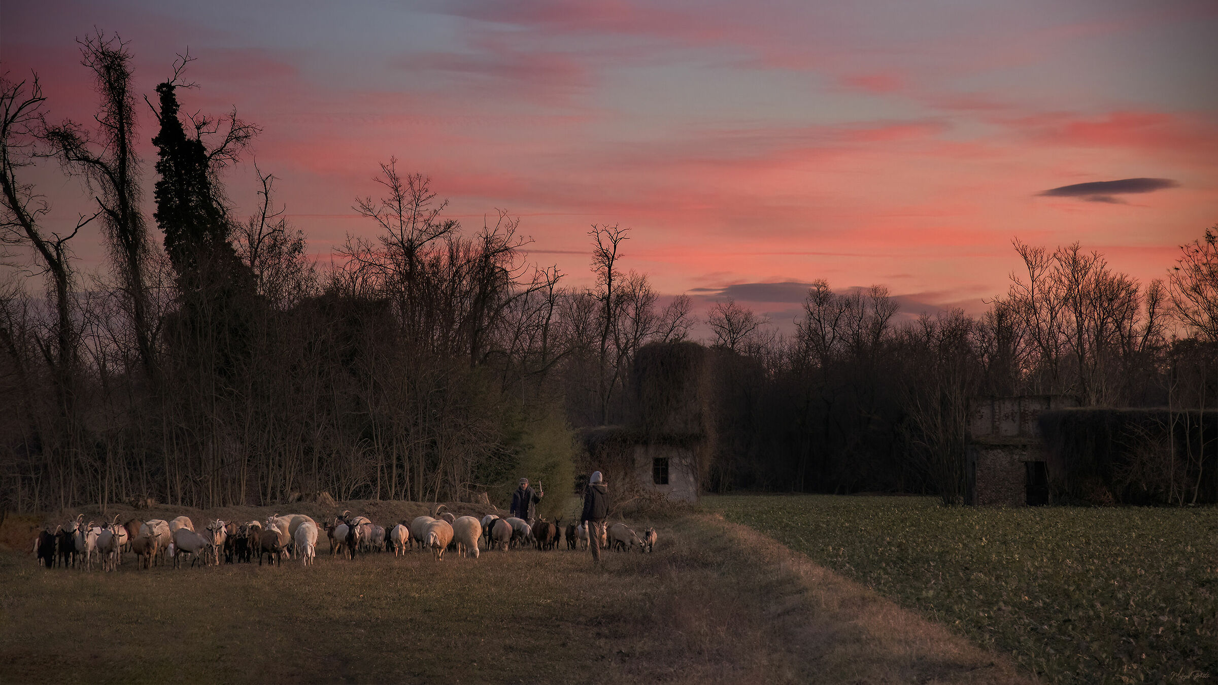 Shepherds at sunset...