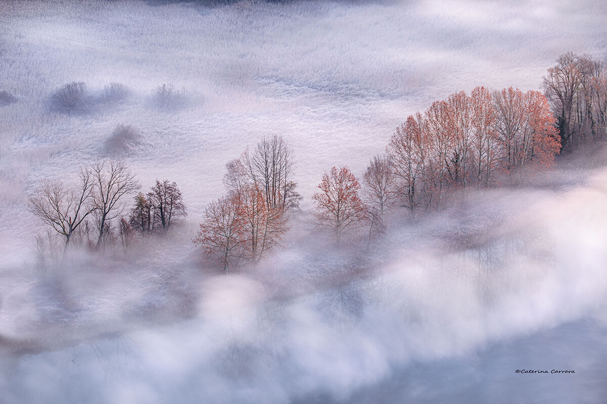 Between fog and frost...