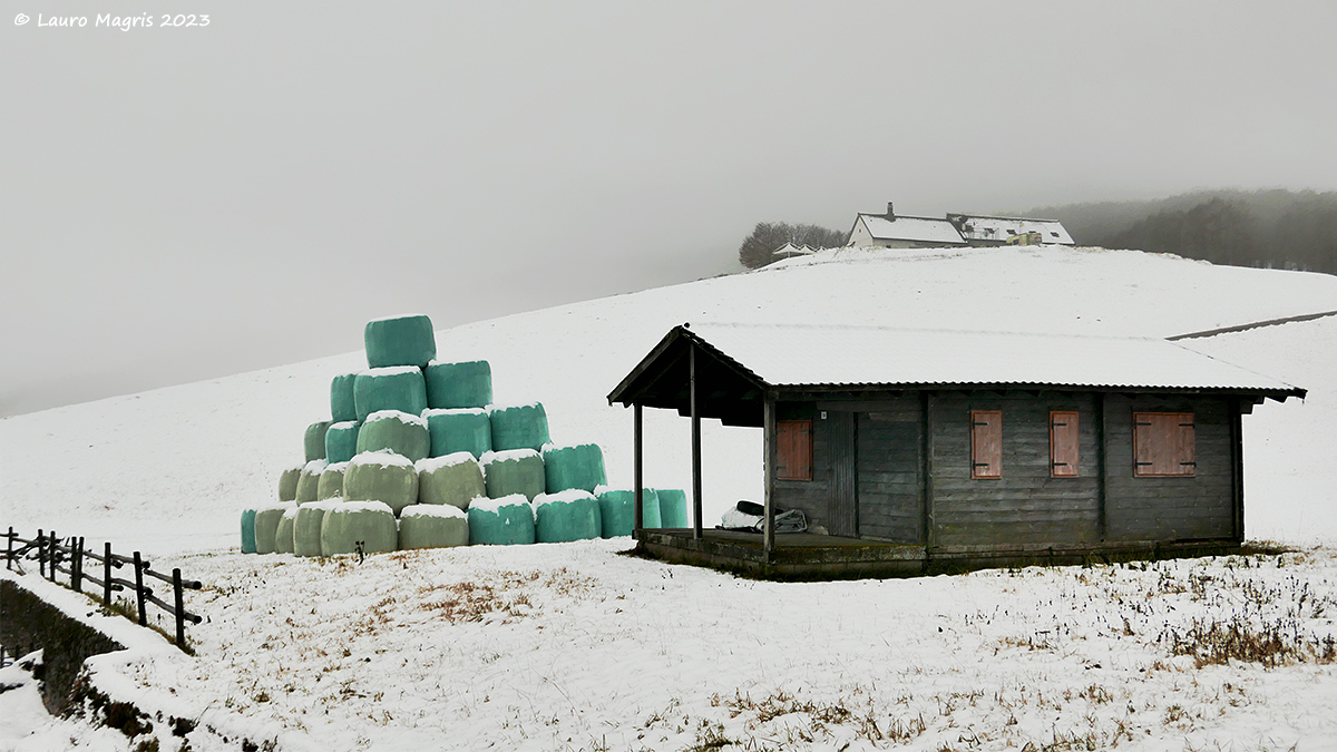 Bales in the snow...