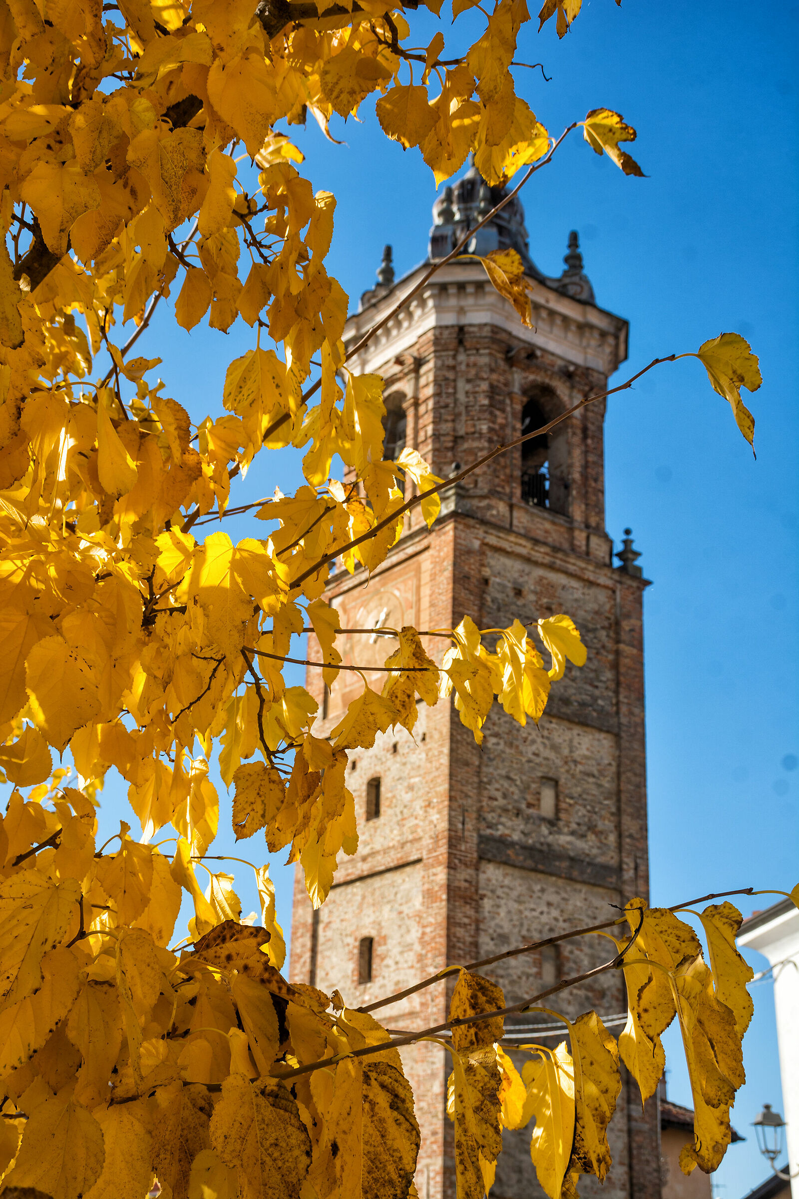 The bell tower in yellow...
