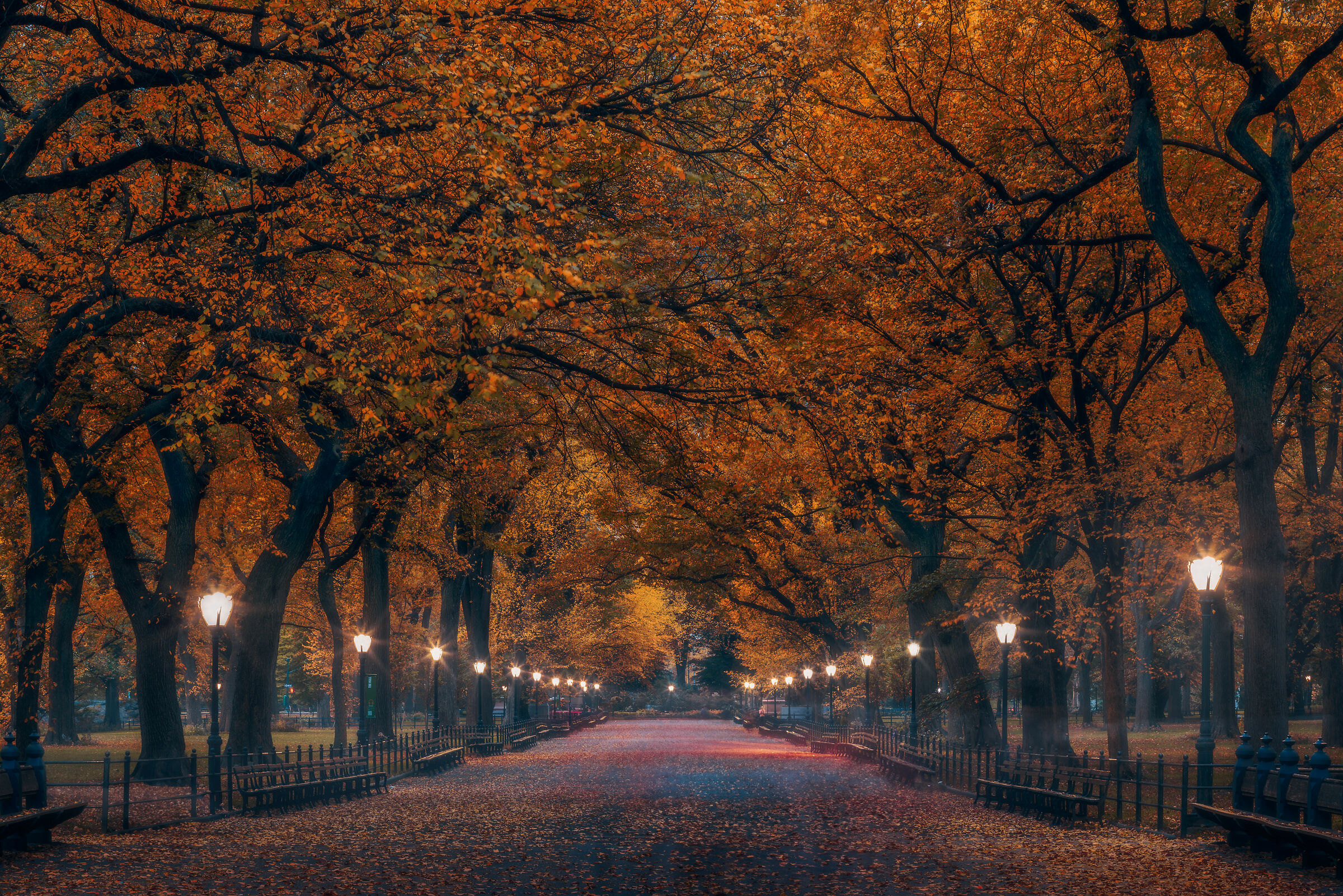 Autumn in Central Park...