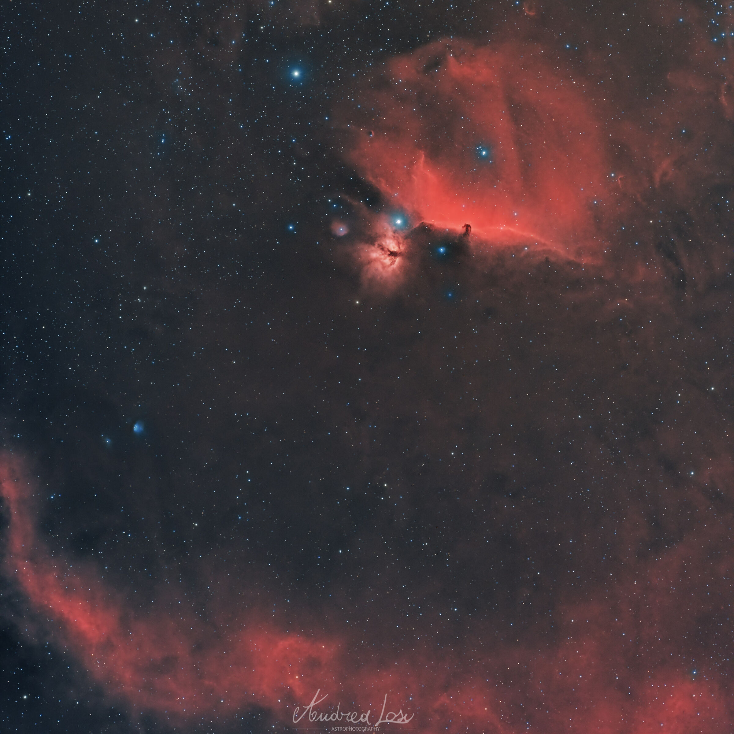 HorseHead Nebula hrgb...