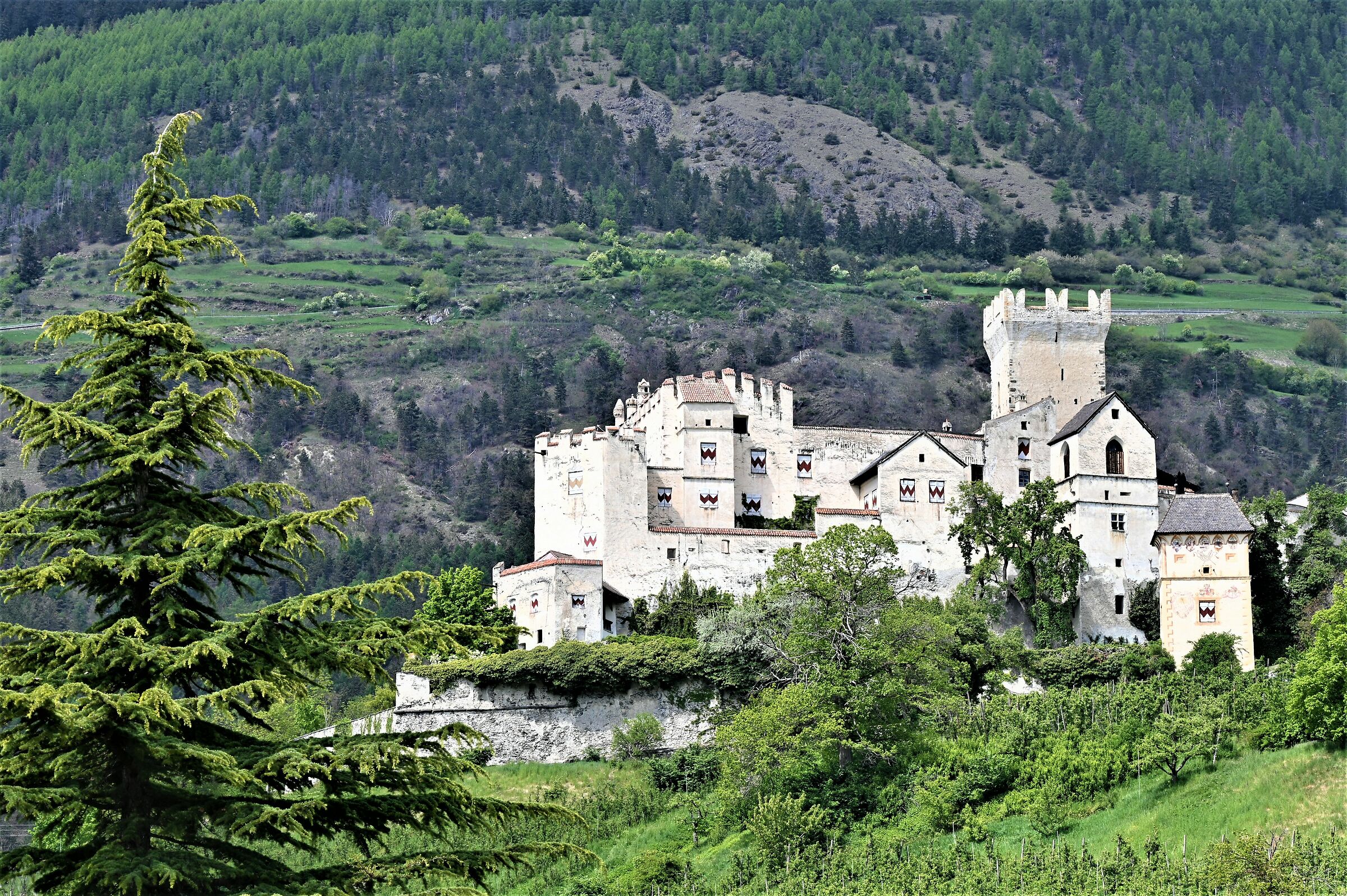 Castel Coira Sluderno - Churburg -...