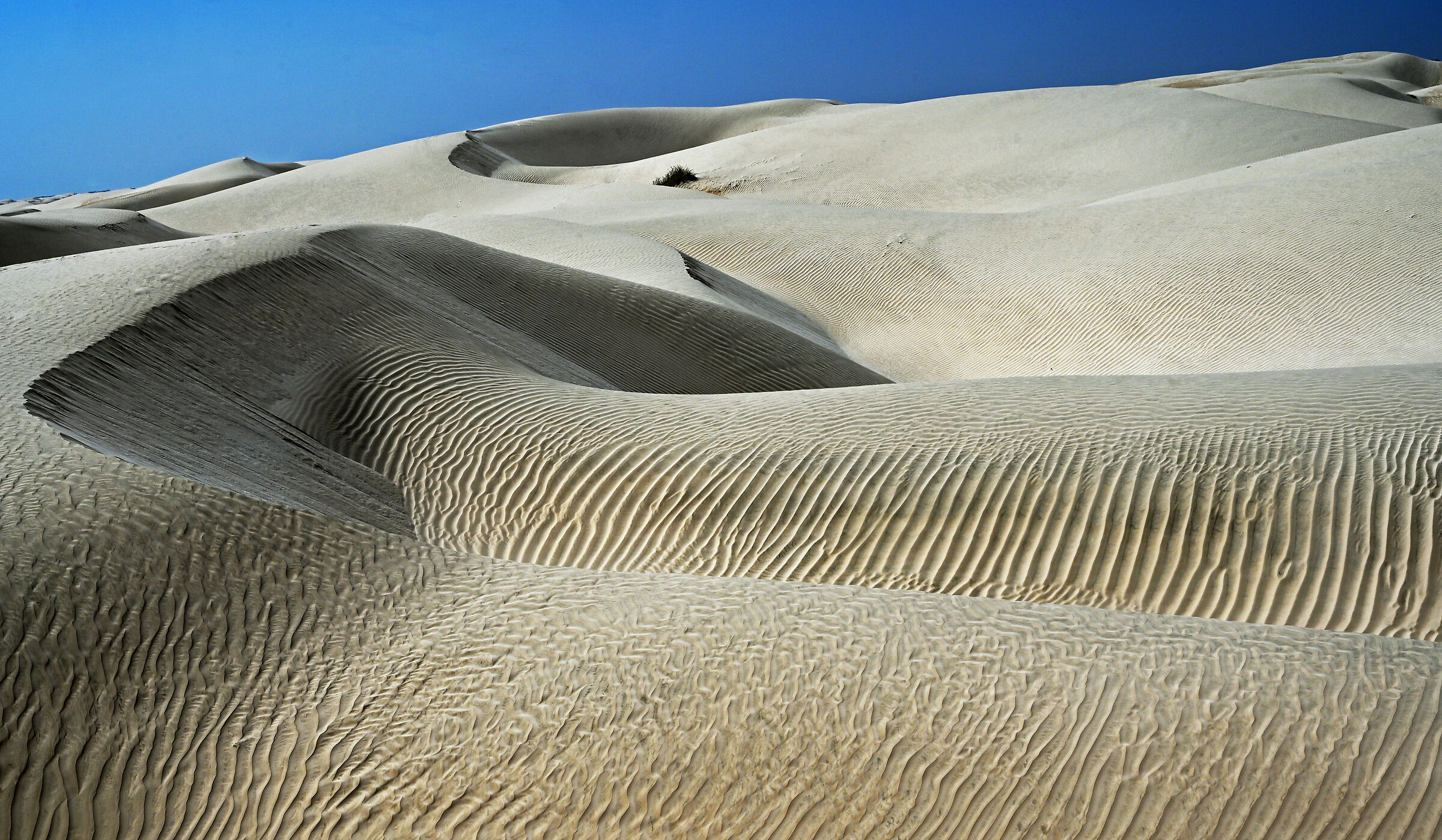 sugar dune desert Oman...