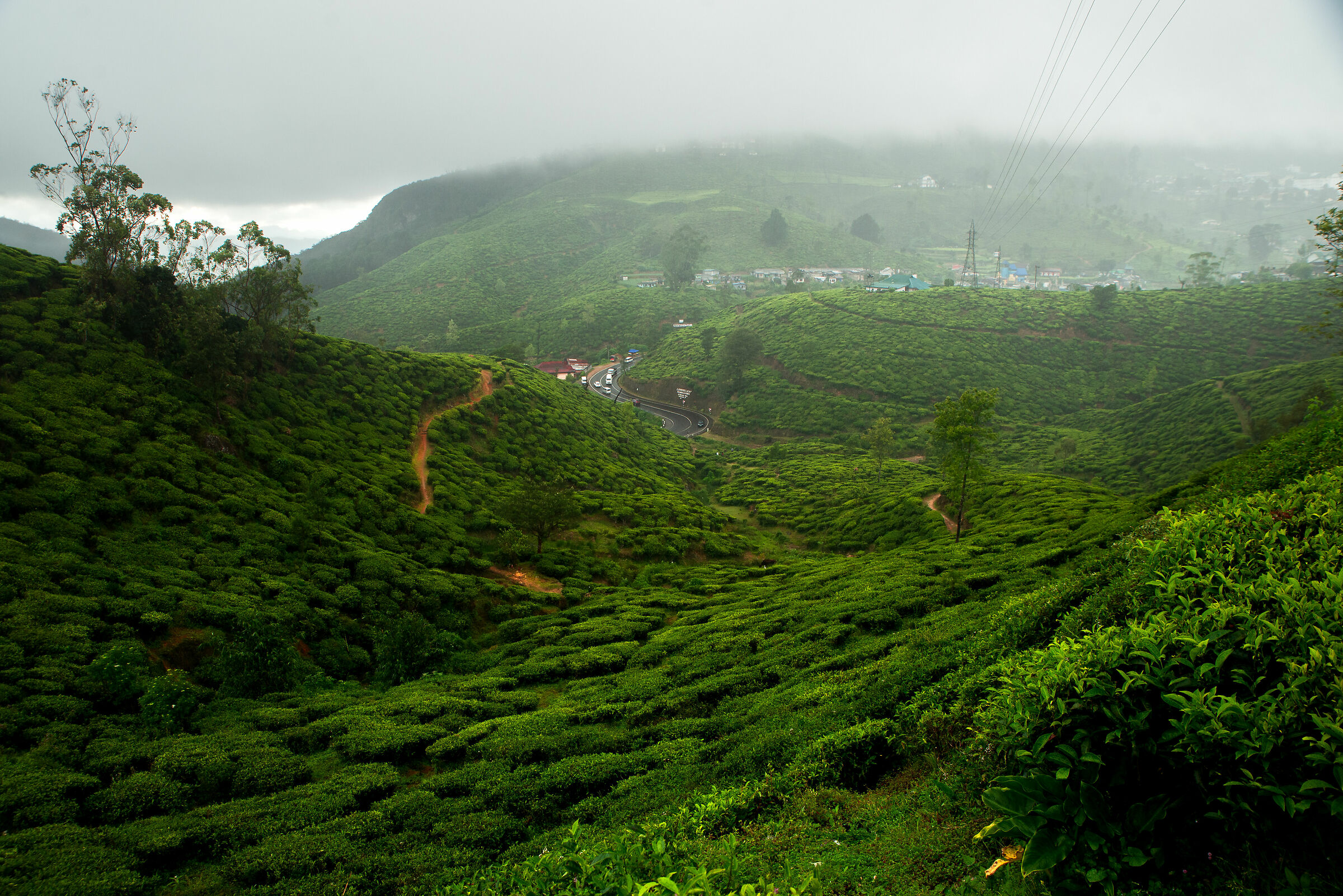 Nuwara Elya, capital of Tea in Sri Lanka ...