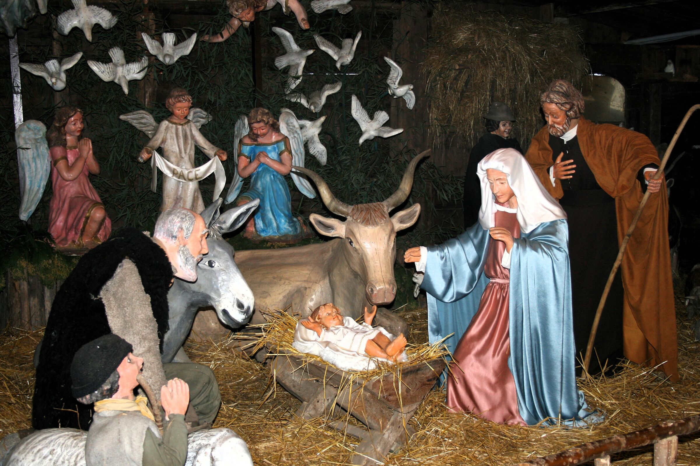 " The Nativity "...