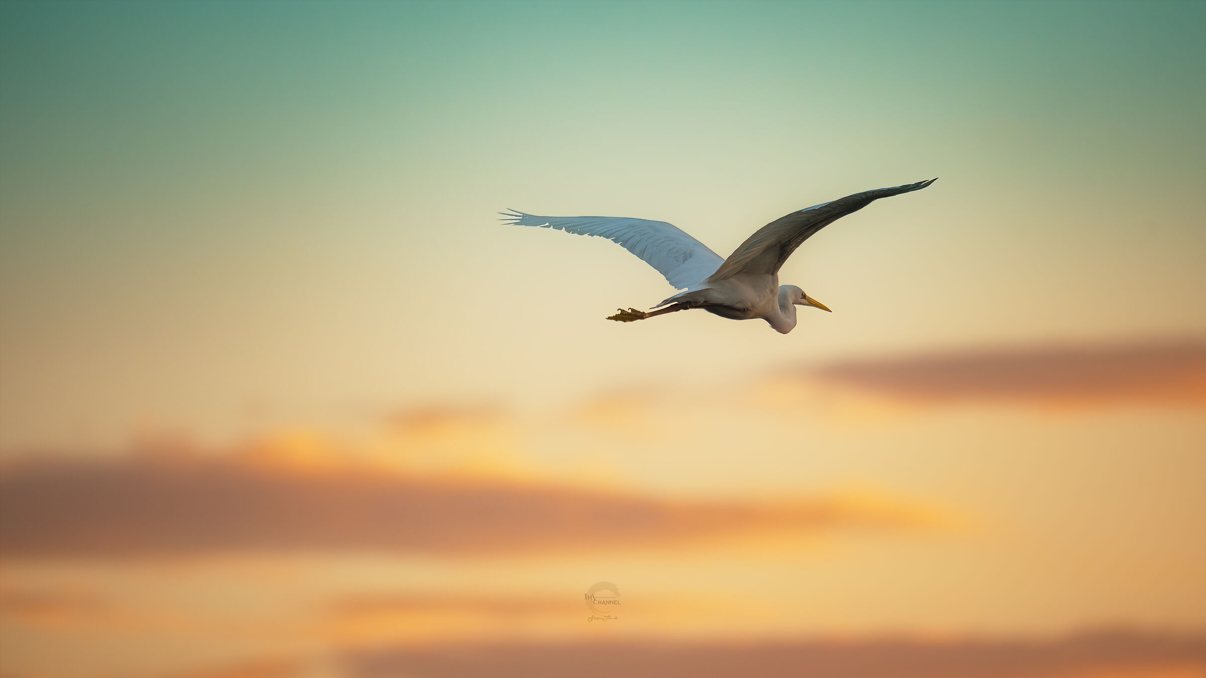 Heron in flight at the crack of dawn...