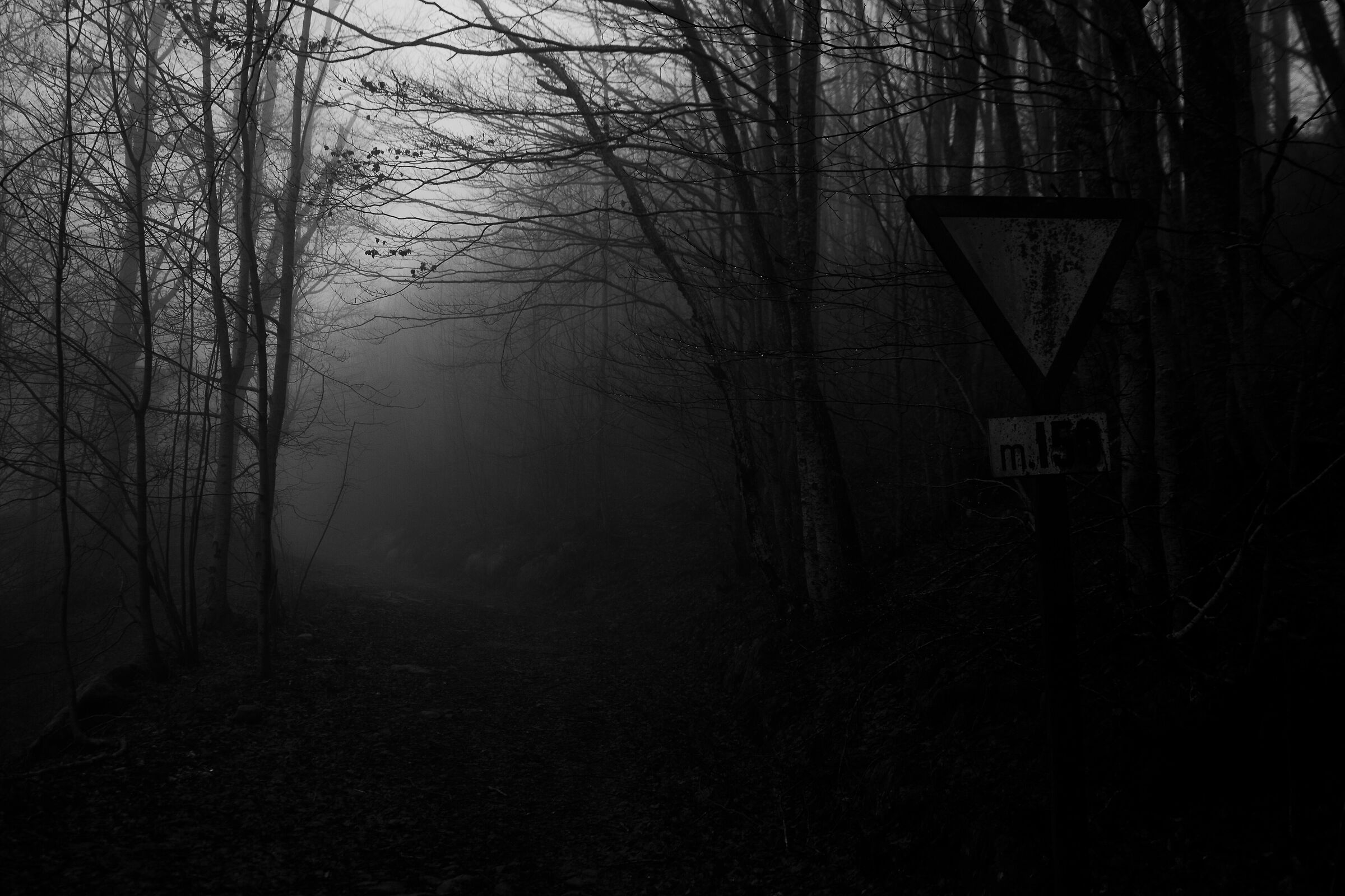 In the woods of Fiumalbo, in black and white...