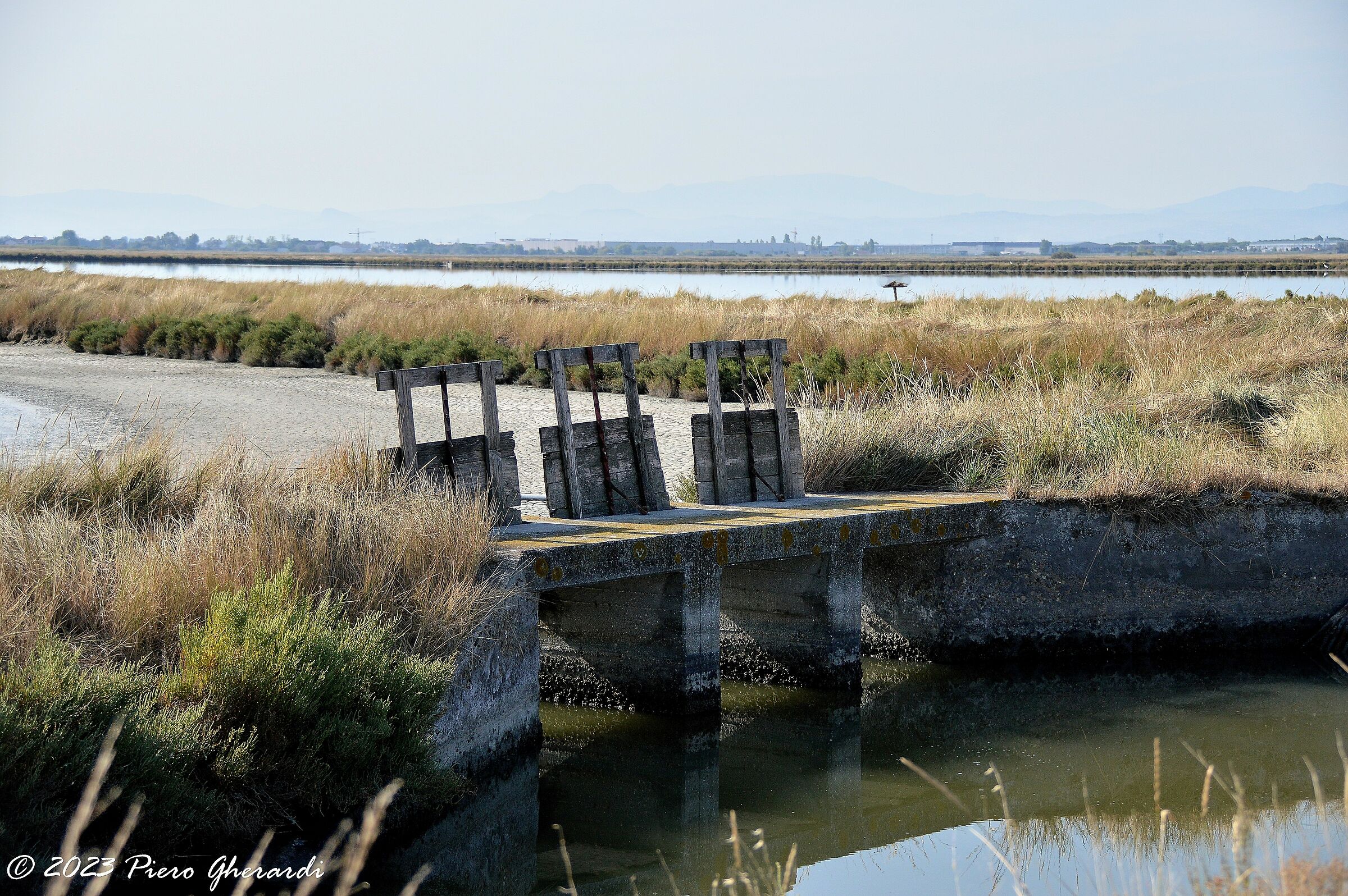 Saline di Cervia...