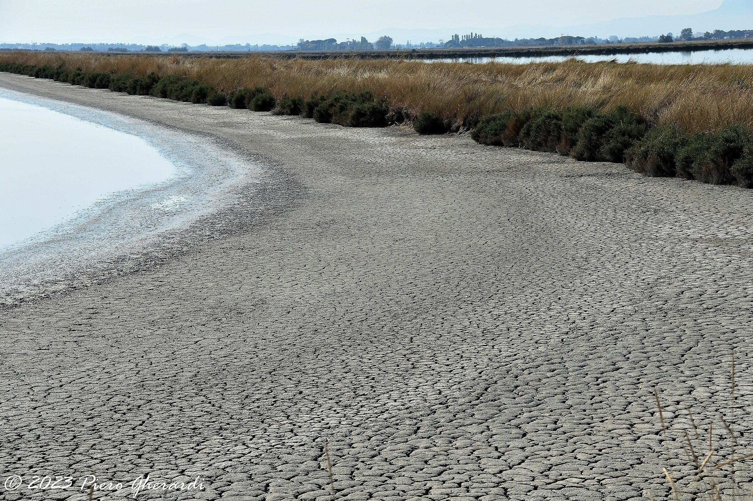 Saline di Cervia...