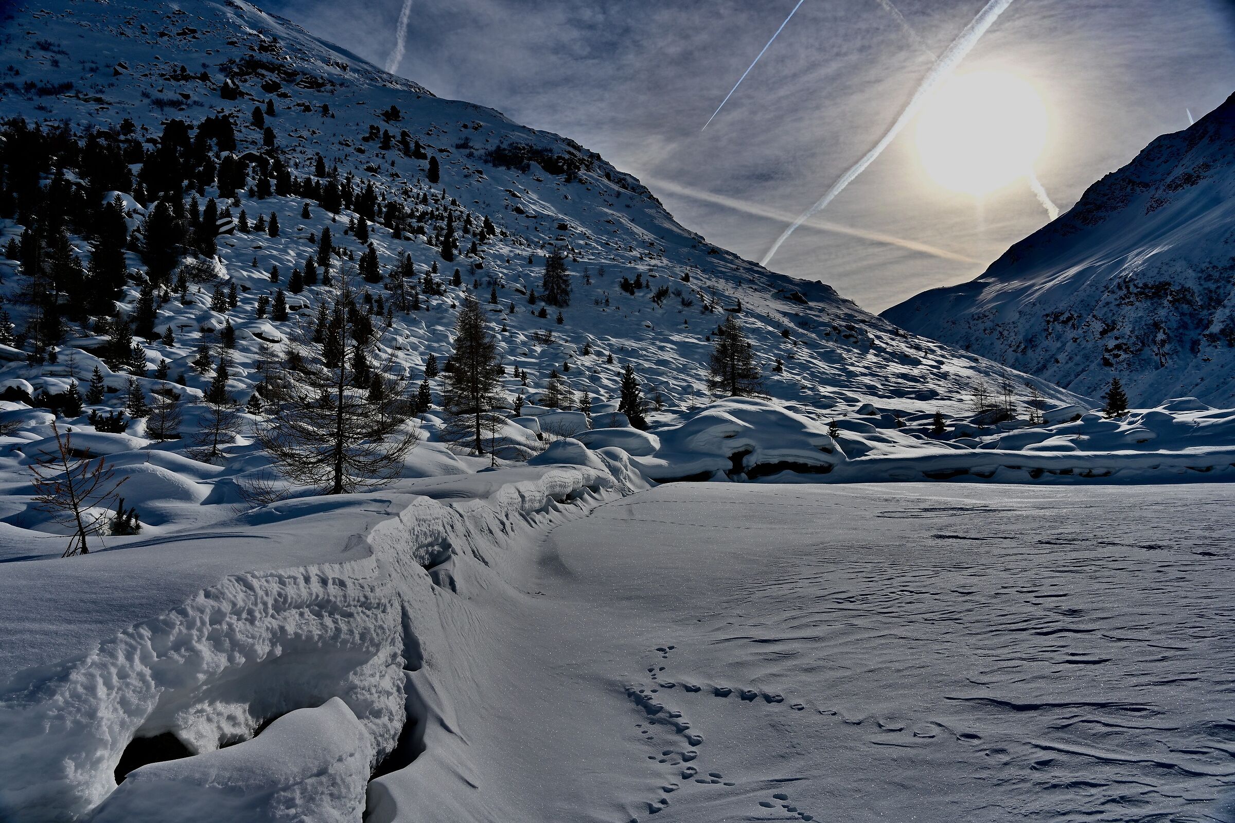 Winter magic in Plan, Passeier Valley/South Tyrol...