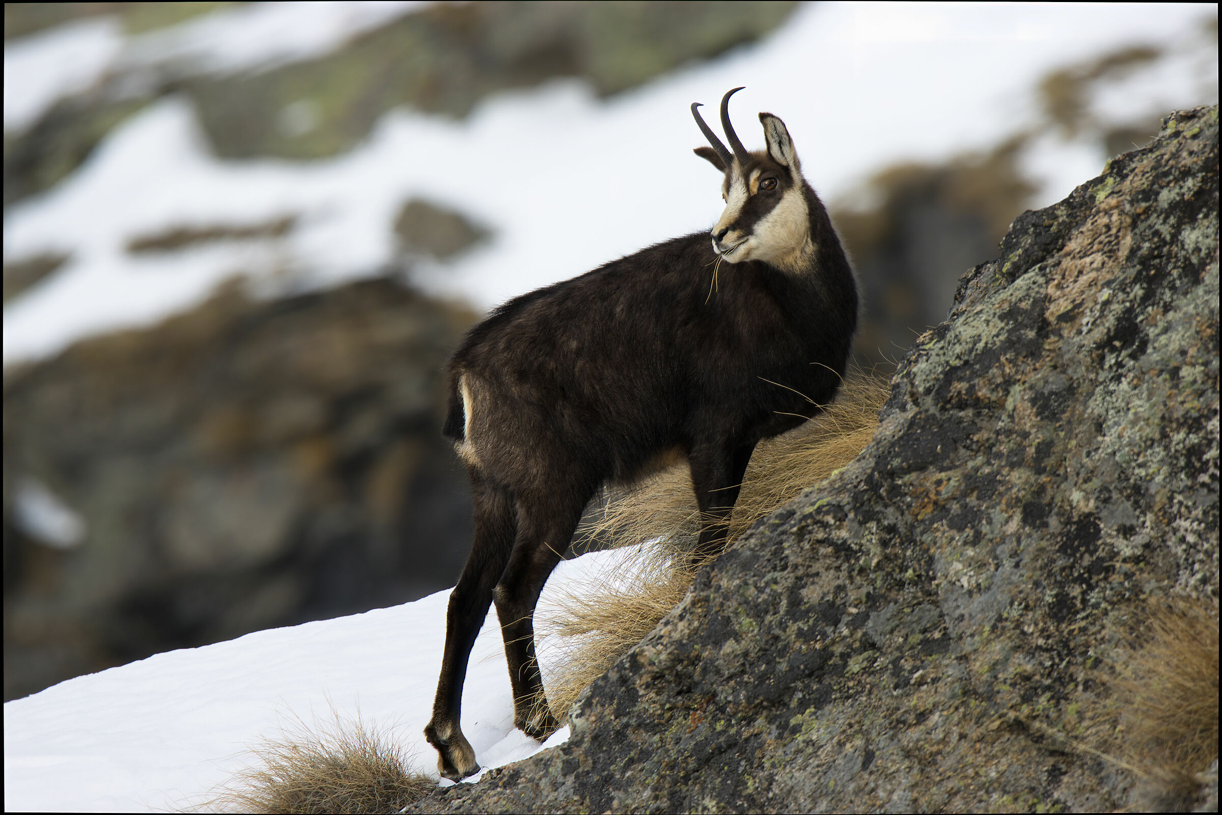 On the ridge...