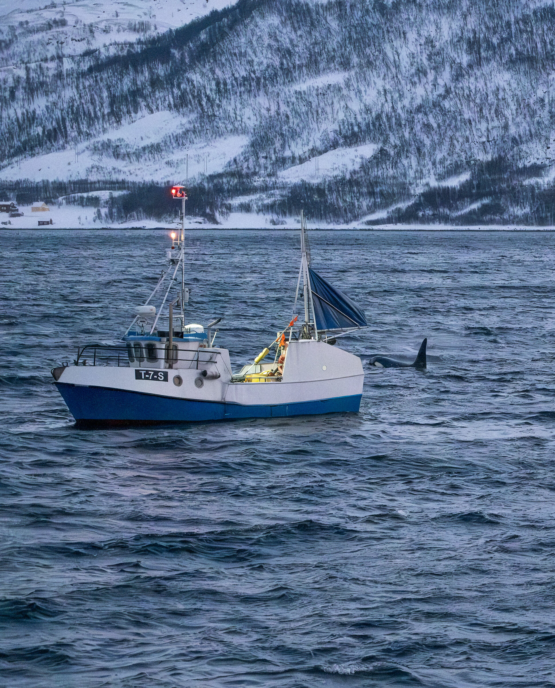 Fisherman and orcas...