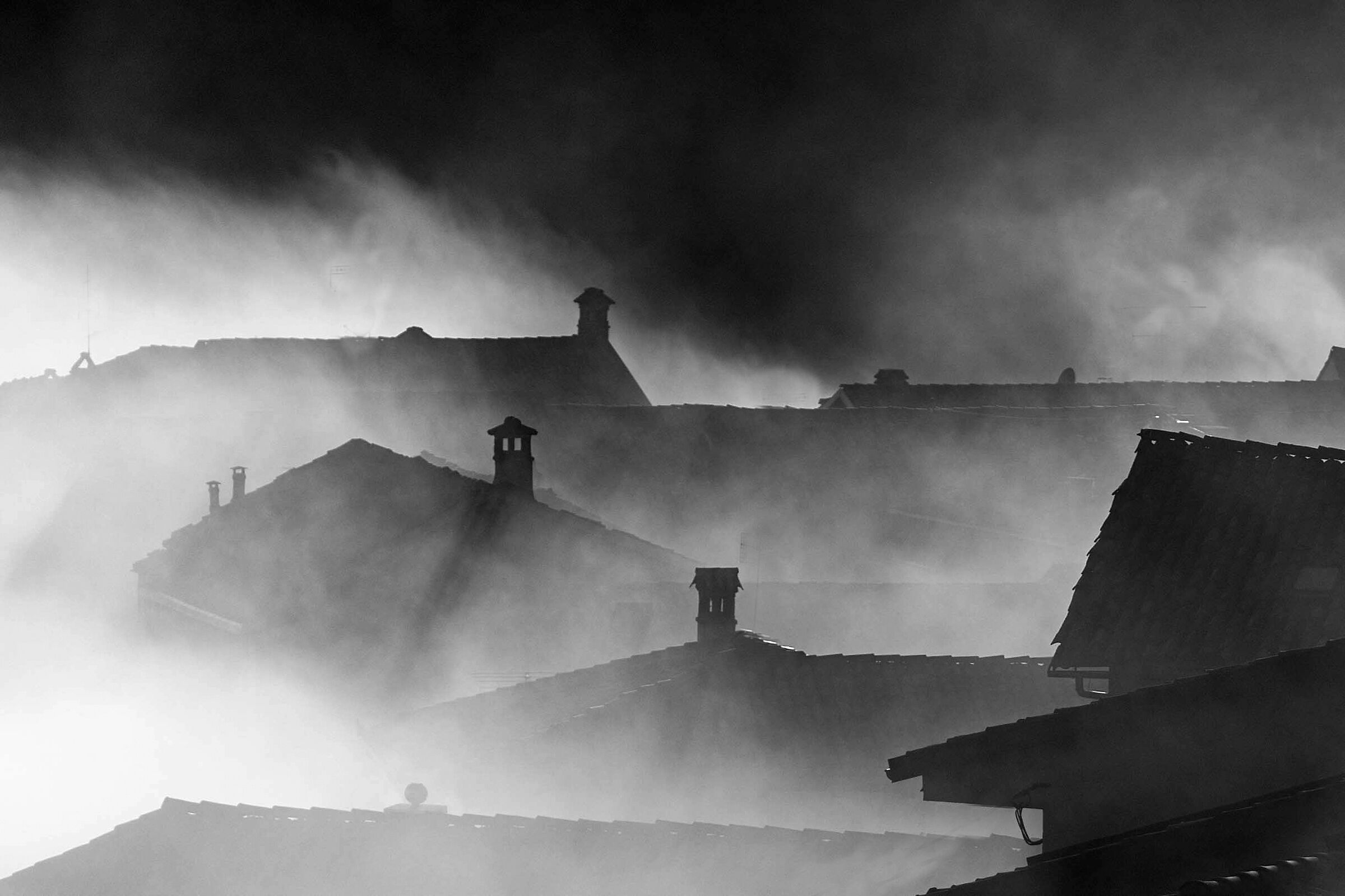 Roofs in the fog...