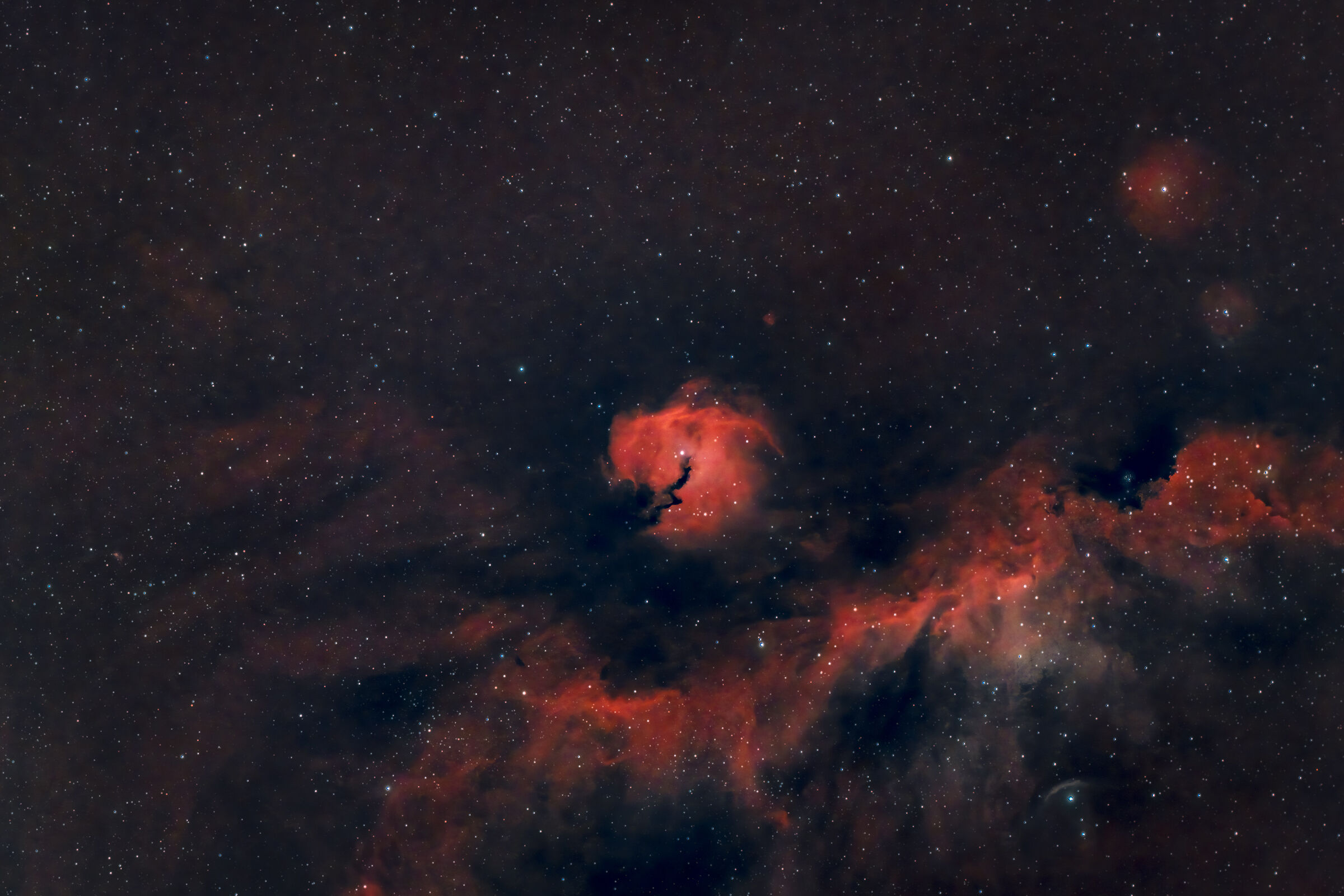 SH2-292 Seagull Nebula...