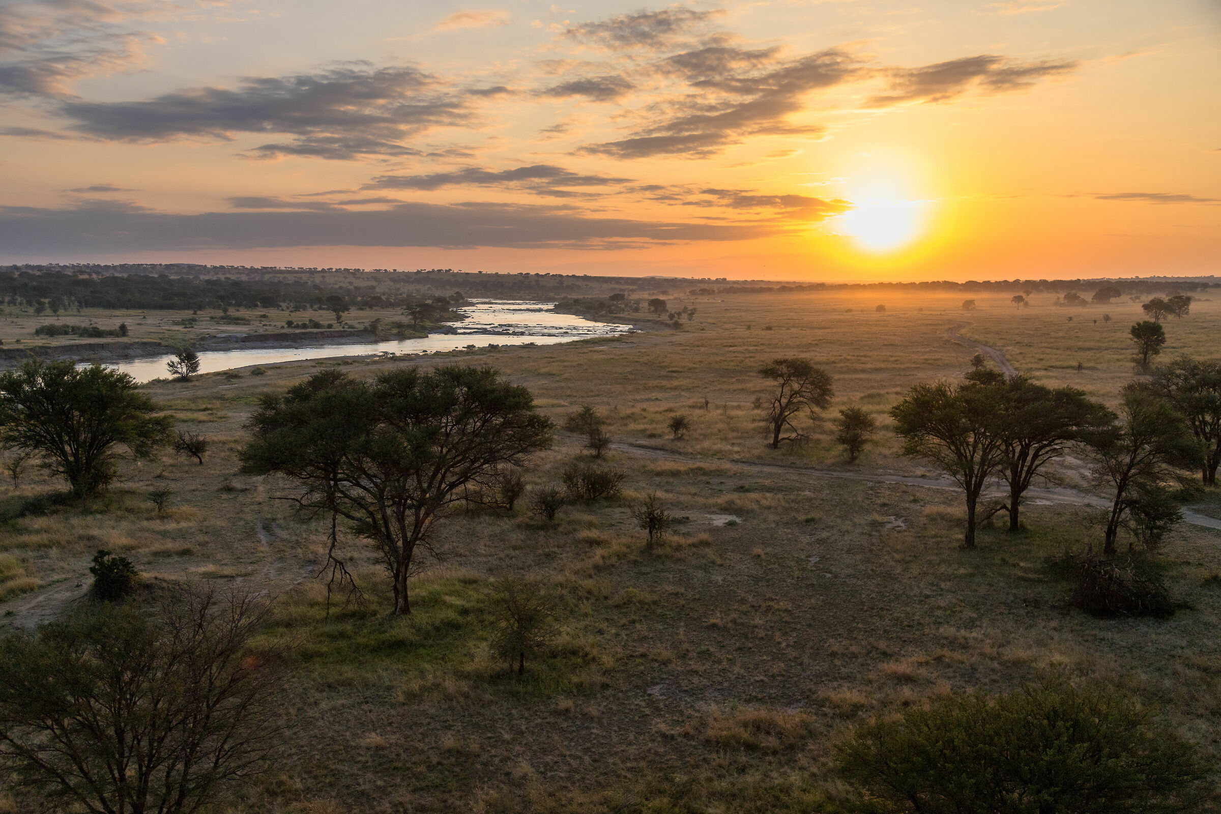 The serengeti at dawn...