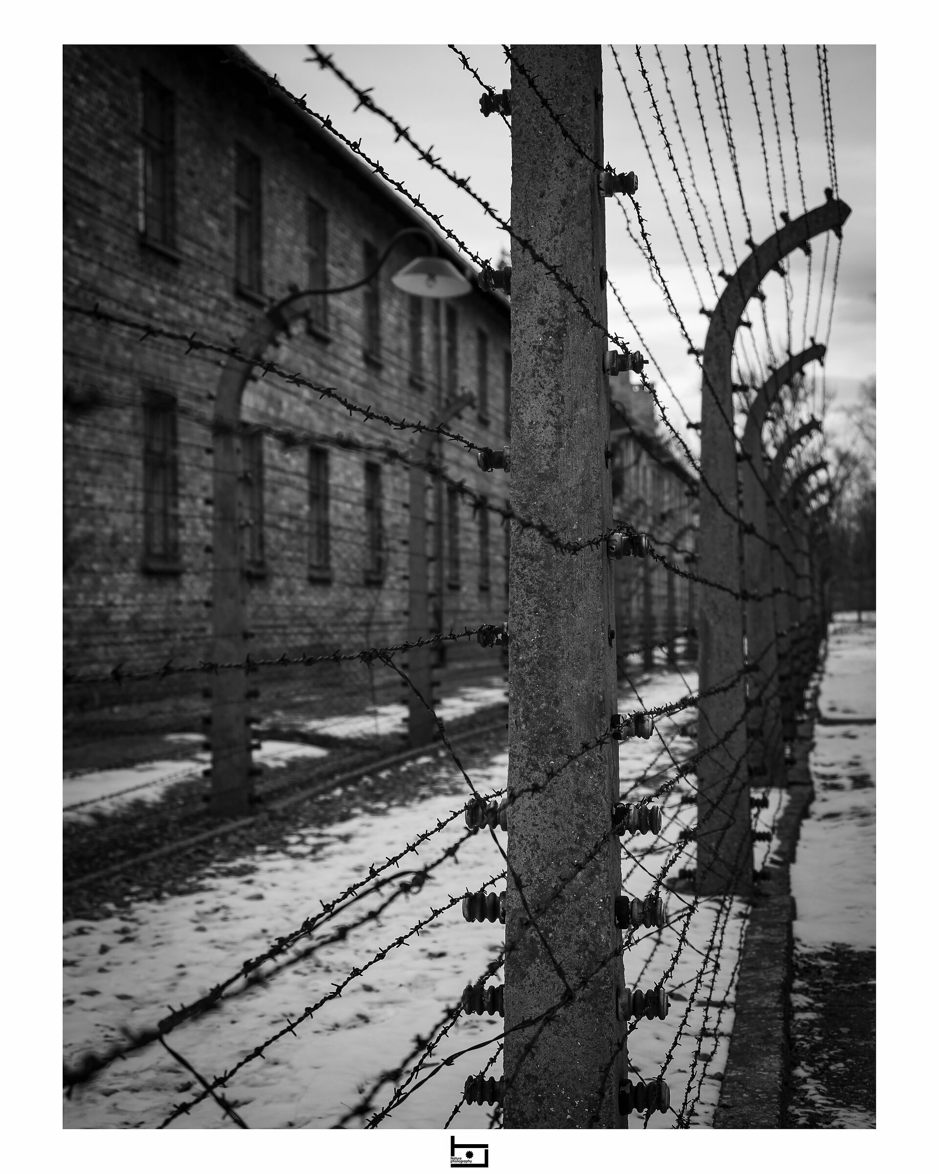 Auschwitz::wired...