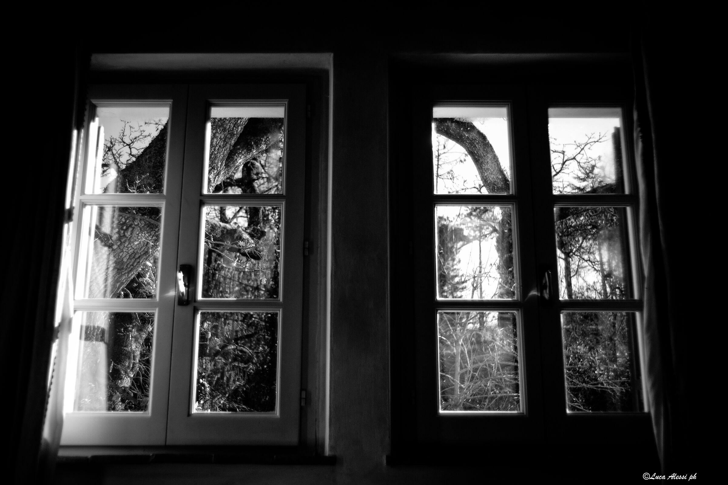 Silence pierces the windows...