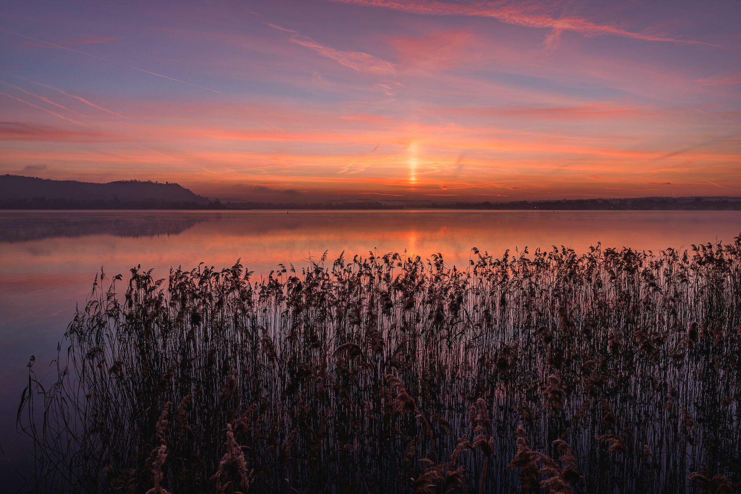 Prima dell'alba, canneti di Dormelletto, Lago Maggiore...