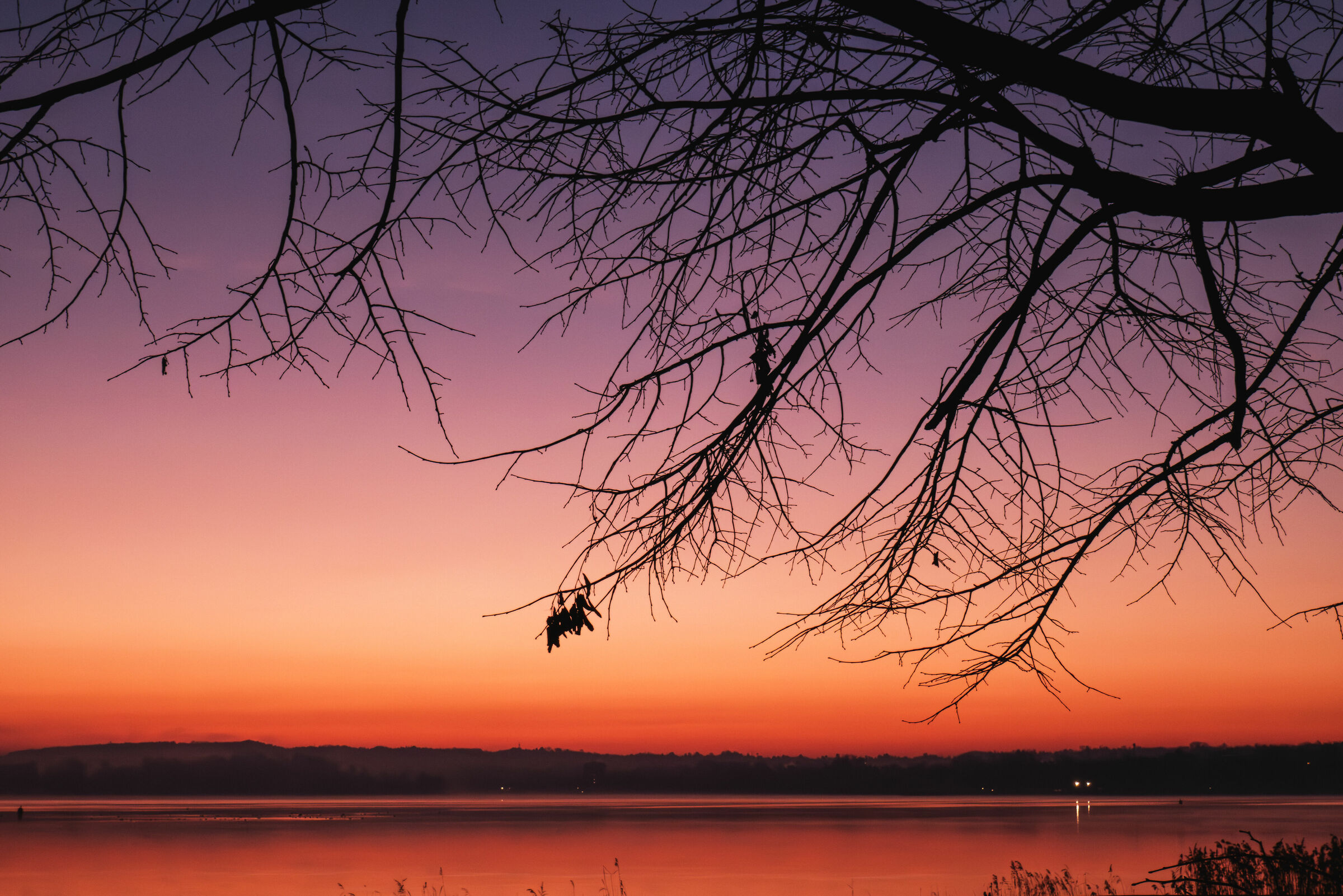 Prima dell'alba, canneti di Dormelletto, Lago Maggiore...