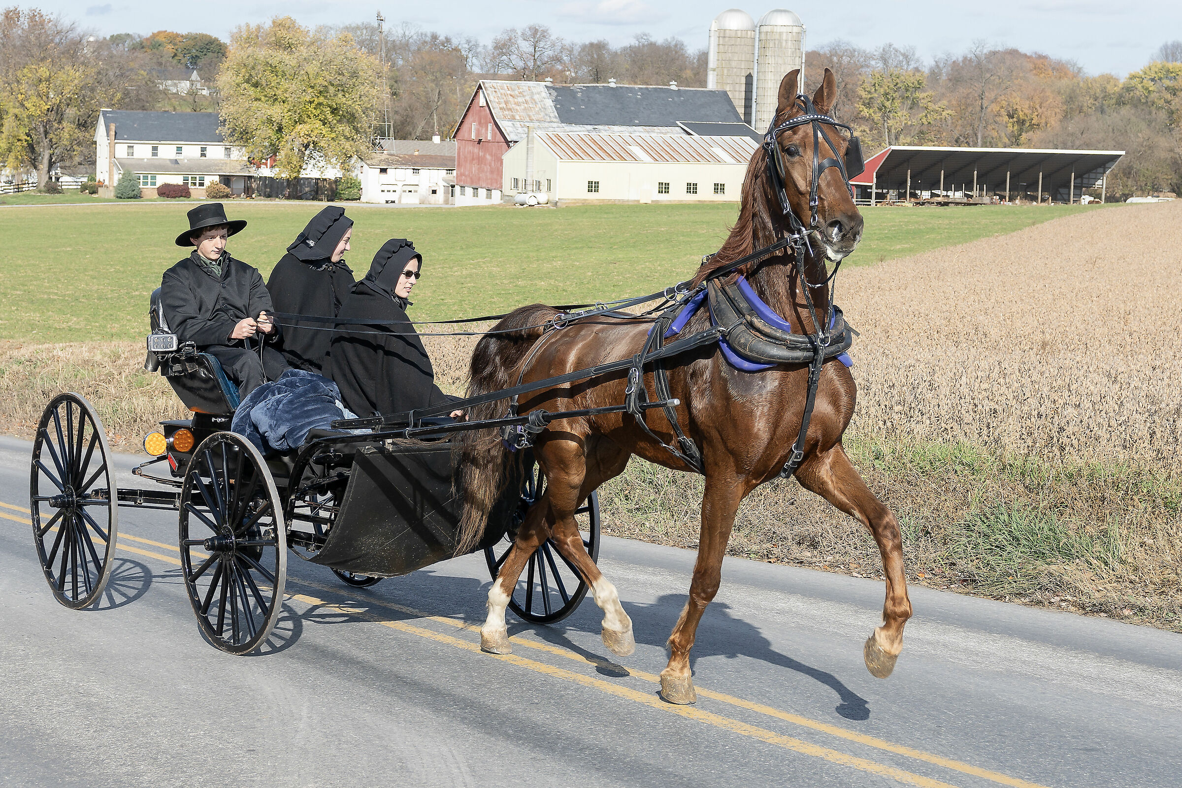 Virginia - Amish...