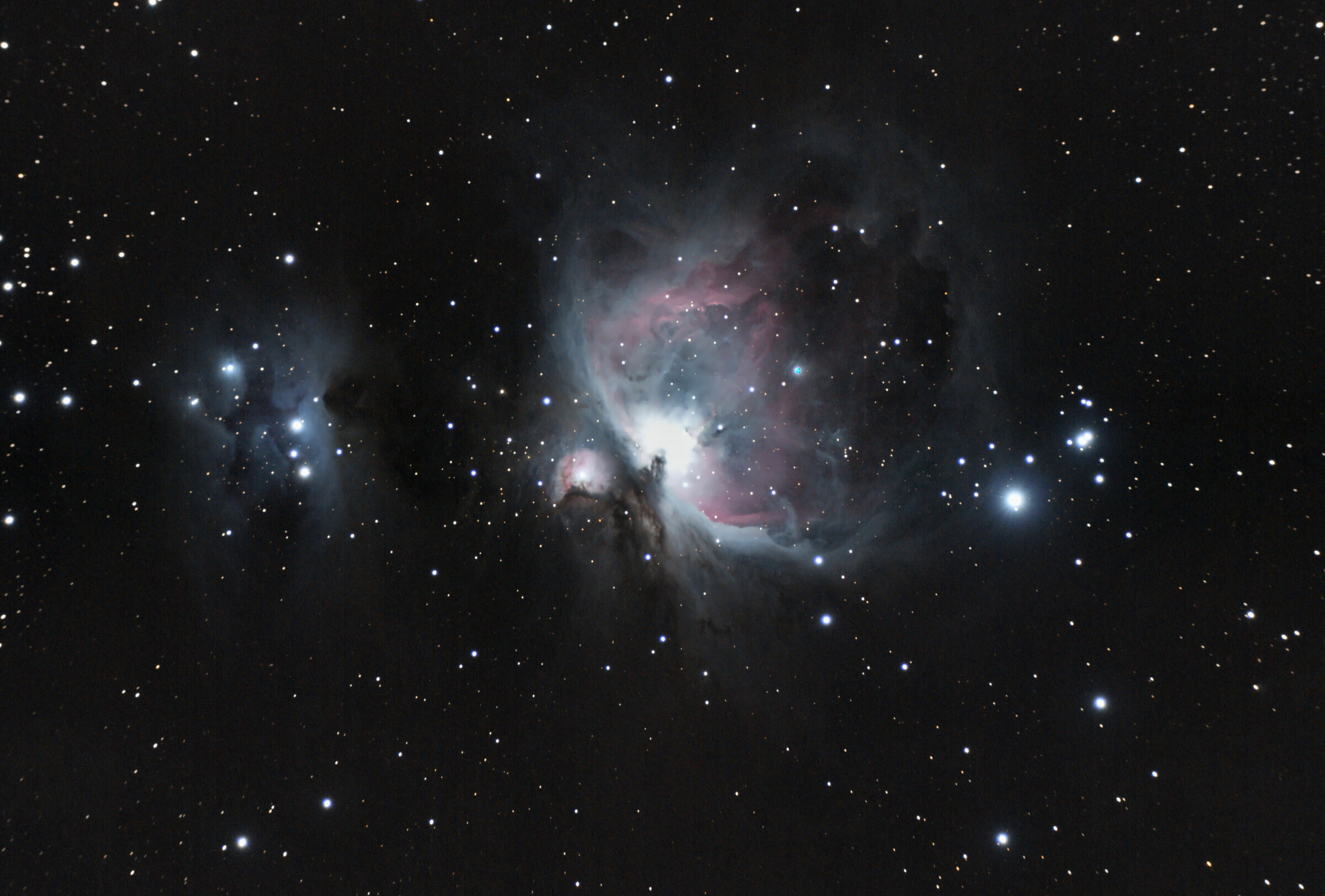 Orion Nebula February 2024...