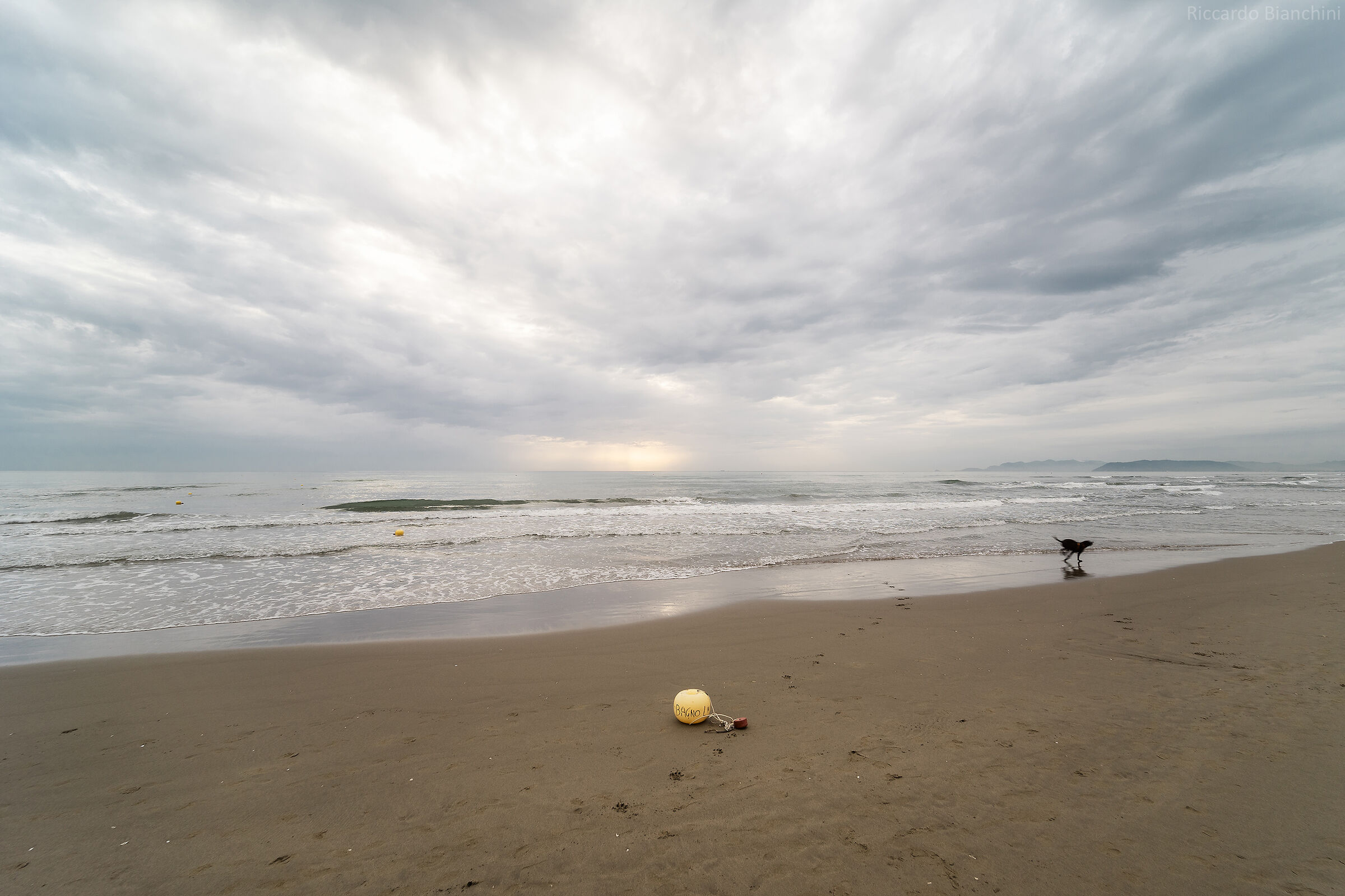 Pietrasanta, beach with buoy and dog...