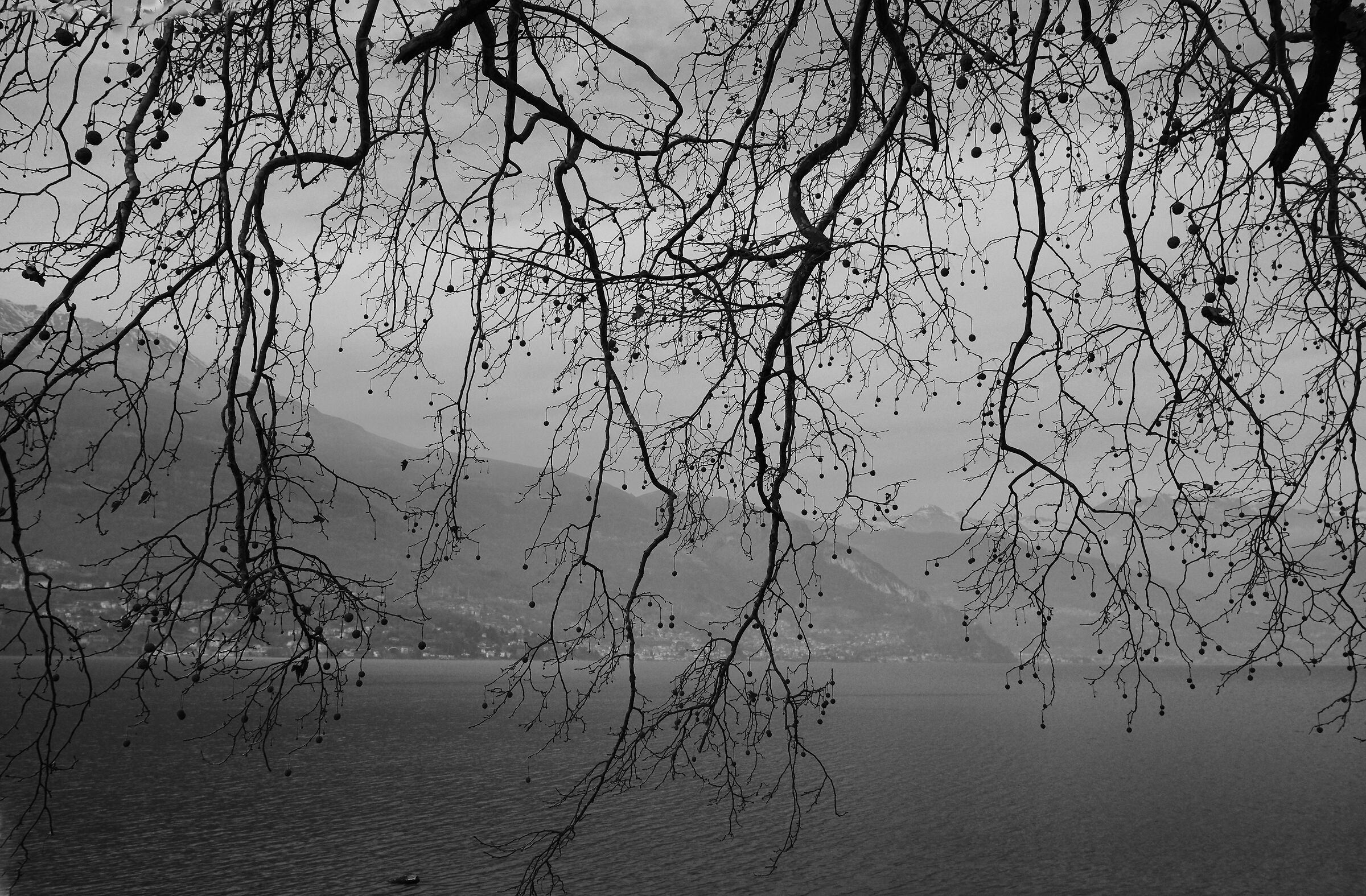 That branch of Lake Como...
