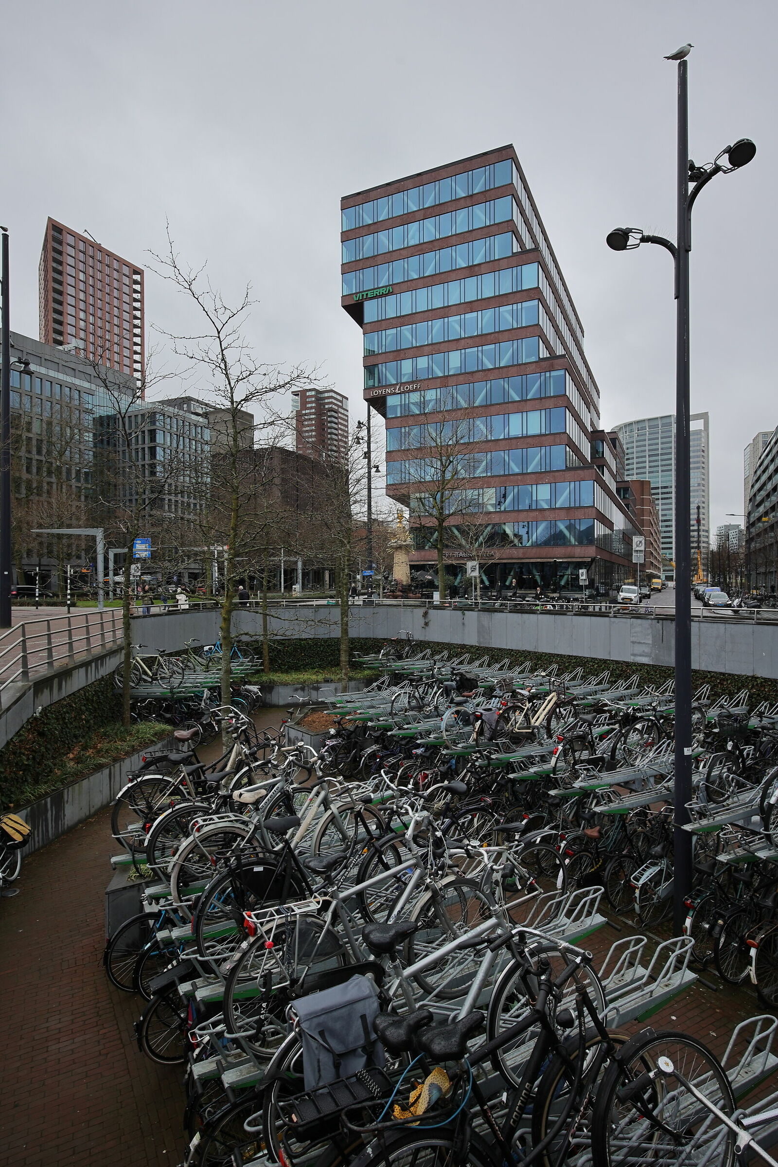 Rotterdam - Architettura moderna e bici...