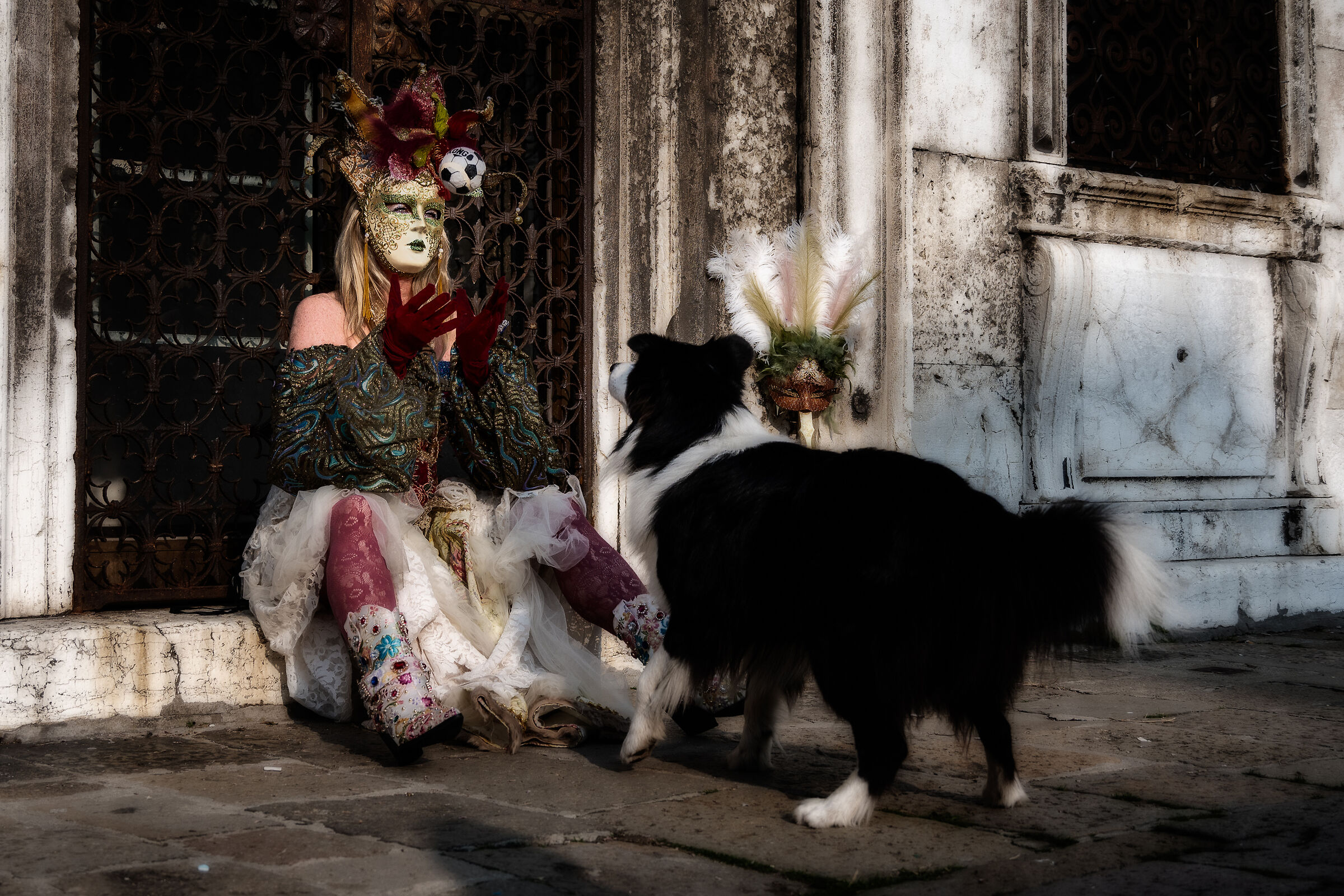Carenevale of Venice...