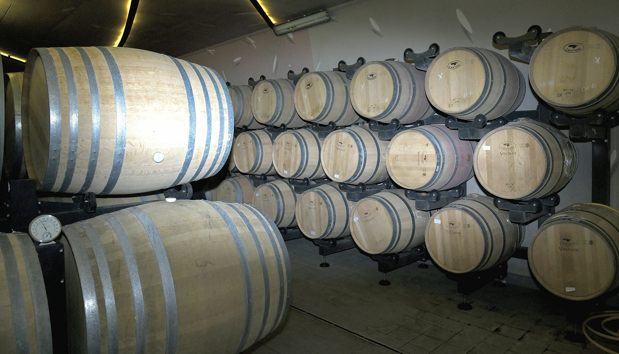 From the winery Su'Entu--Sanluri, Sardinia, Italy...