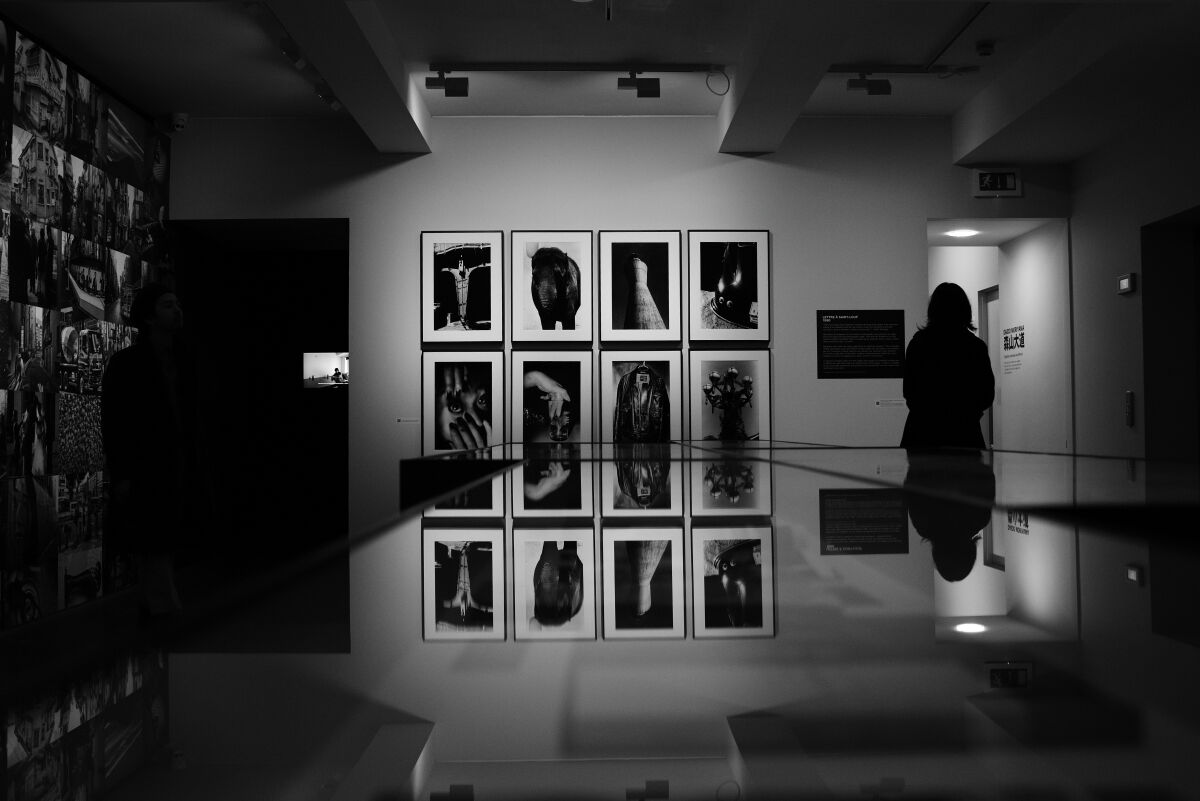 Daido Moriyama photo exhibition...