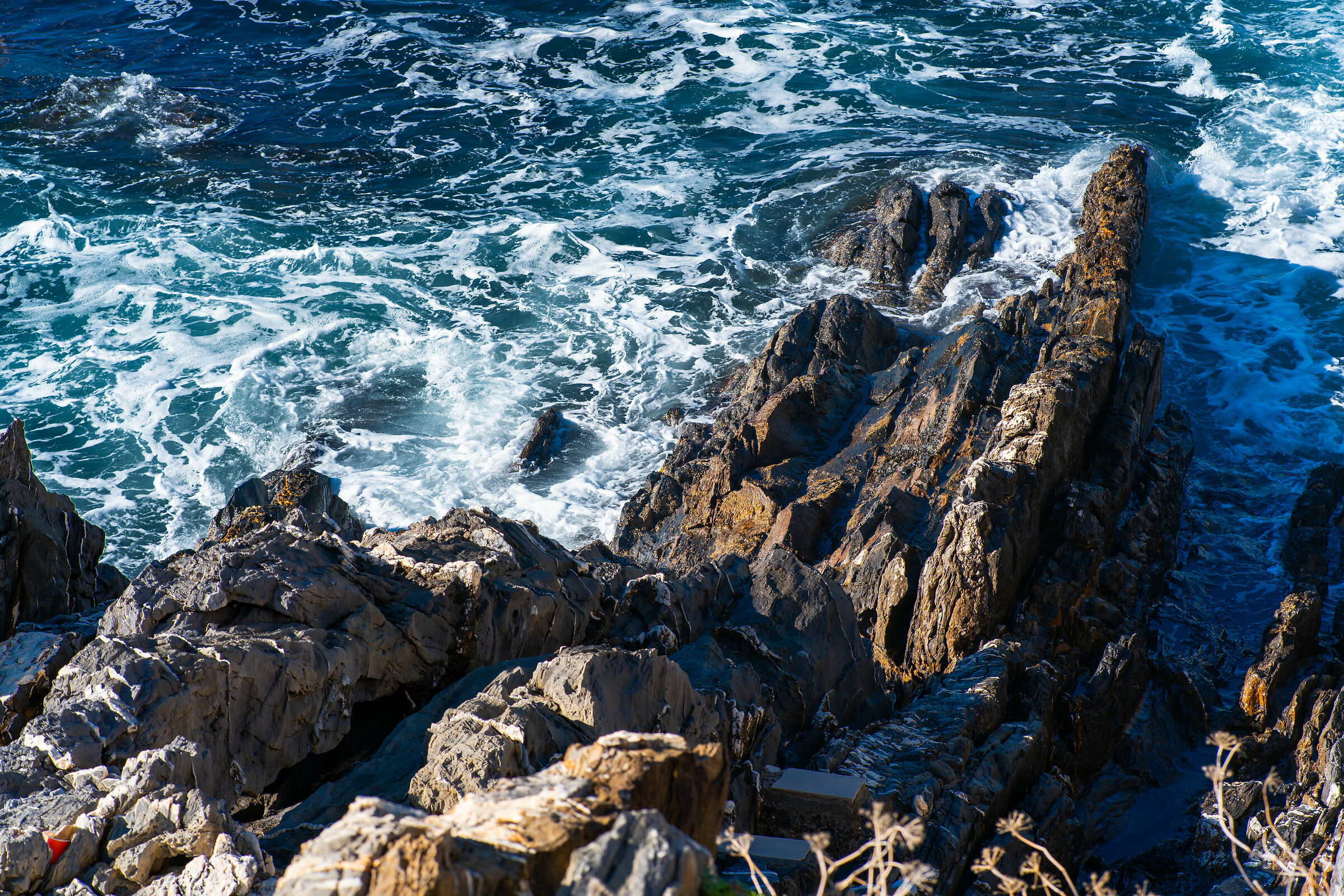 Cliff of Nervi...