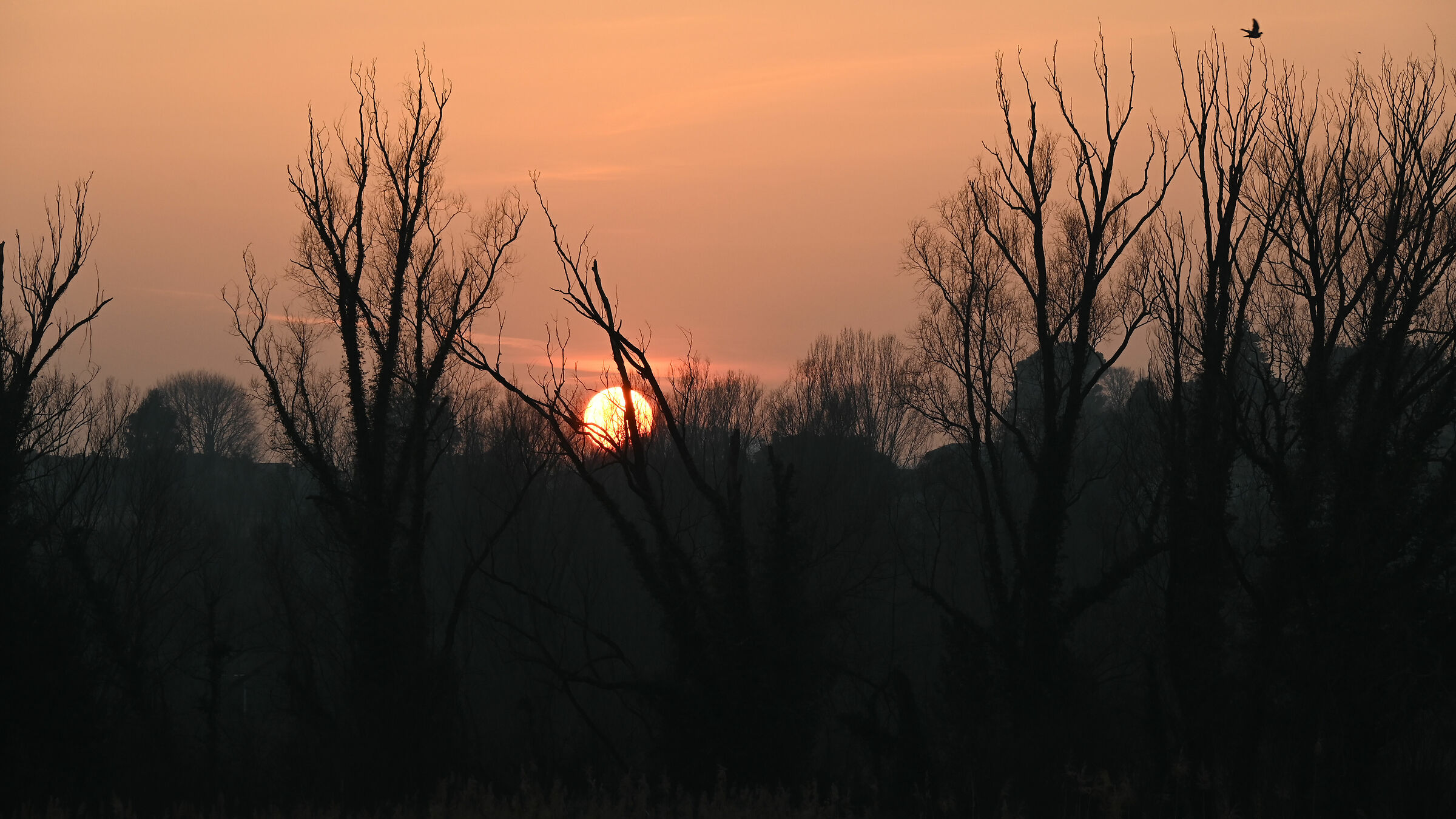 Winter sunset in the Lombardy countryside 2...