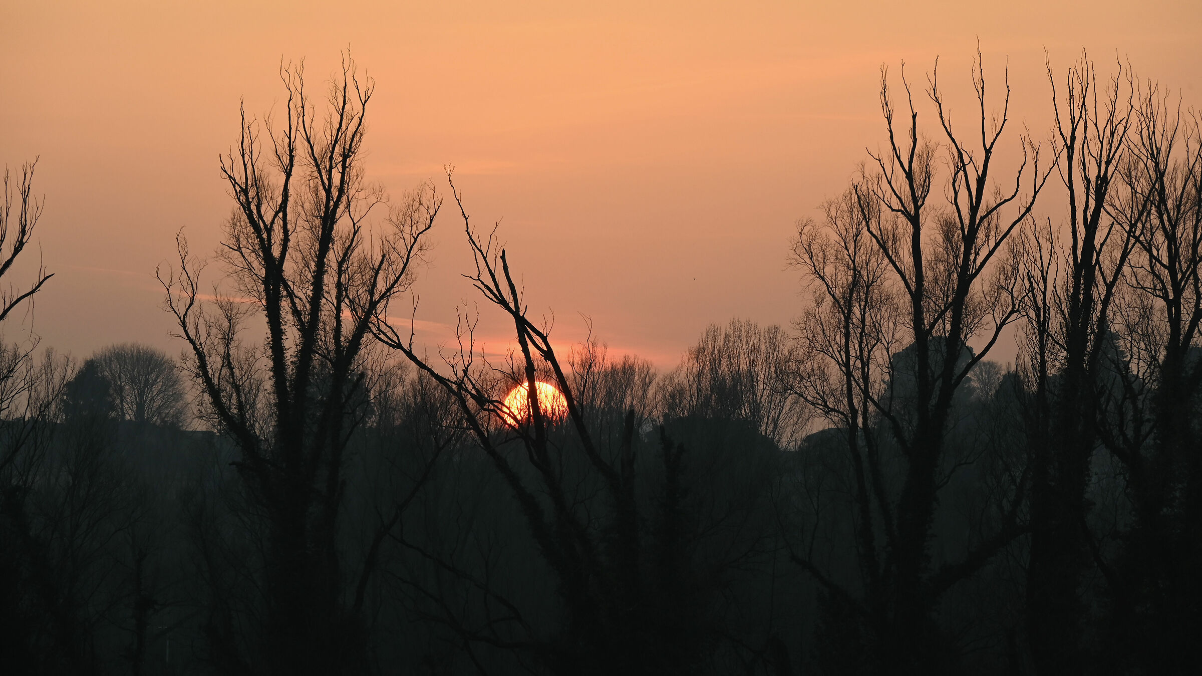 Winter sunset in the Lombardy countryside 3...