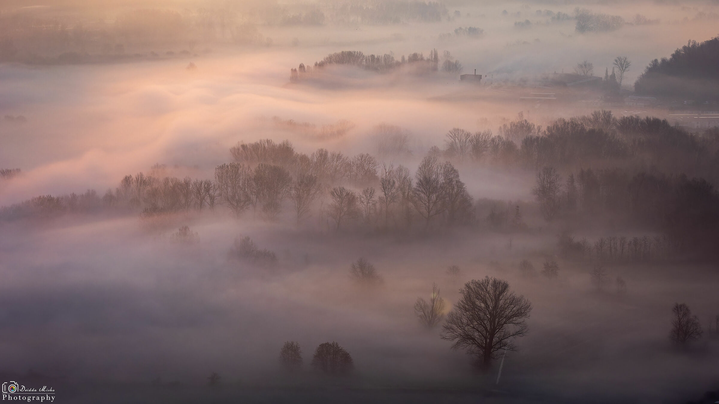 The colors of dawn in the fog...