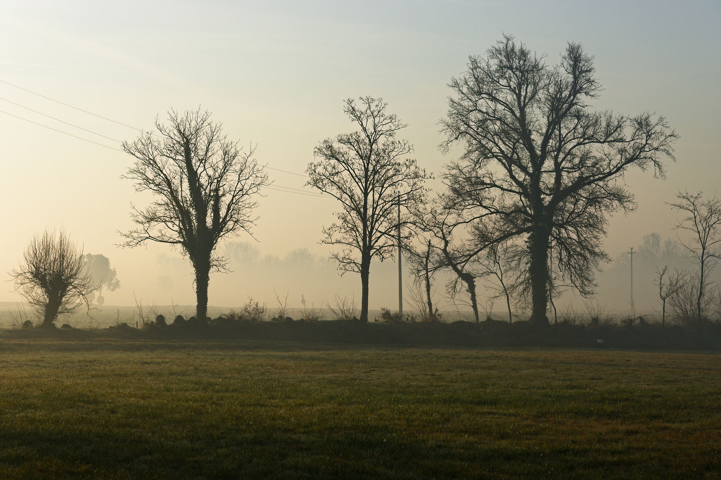 Untitled Photo...